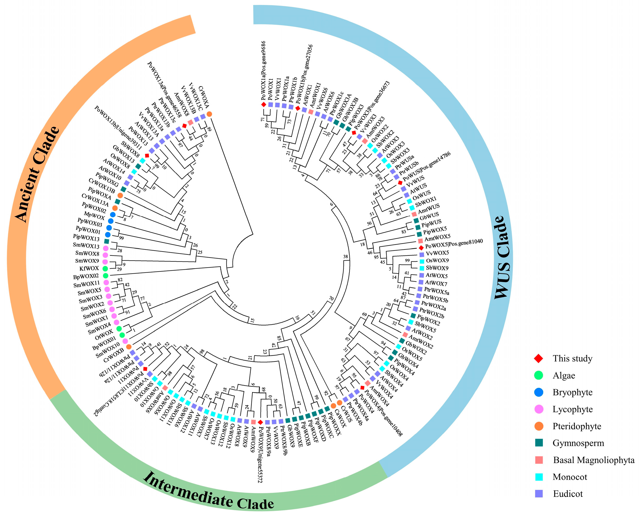 Ijms 25 07668 g002 Ijms 25 07668 g002
