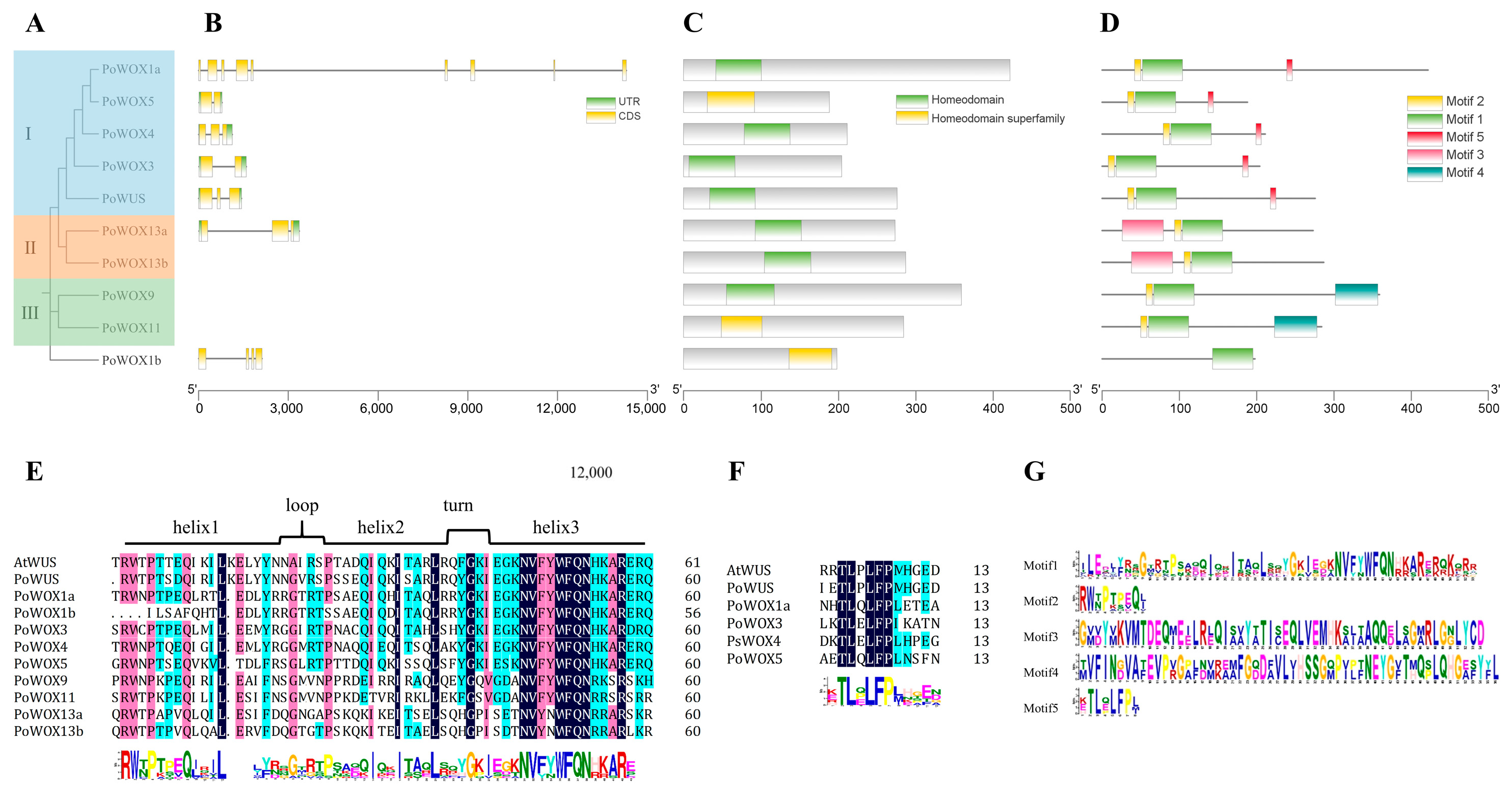 Ijms 25 07668 g003 Ijms 25 07668 g003