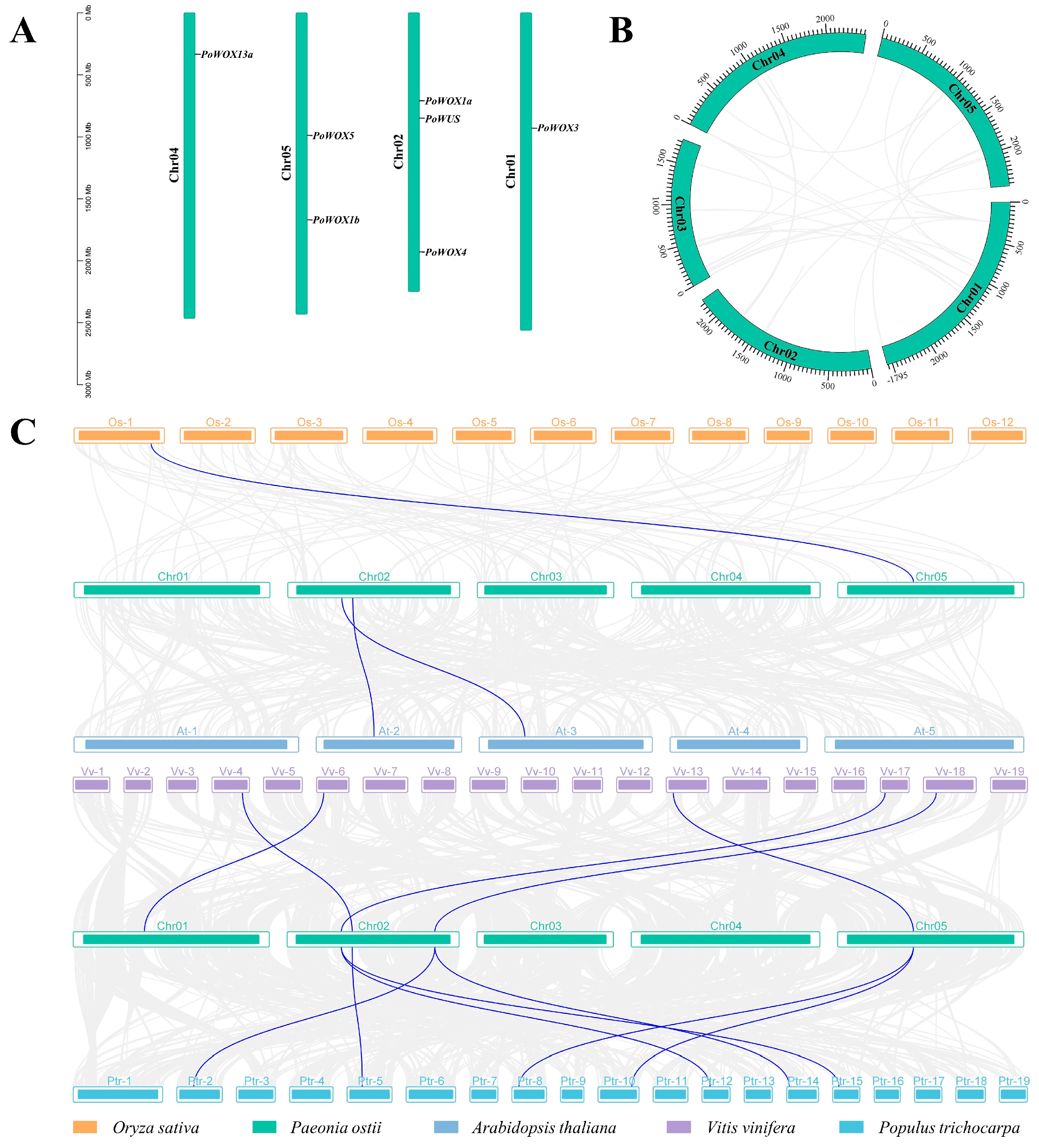 Ijms 25 07668 g005 Ijms 25 07668 g005
