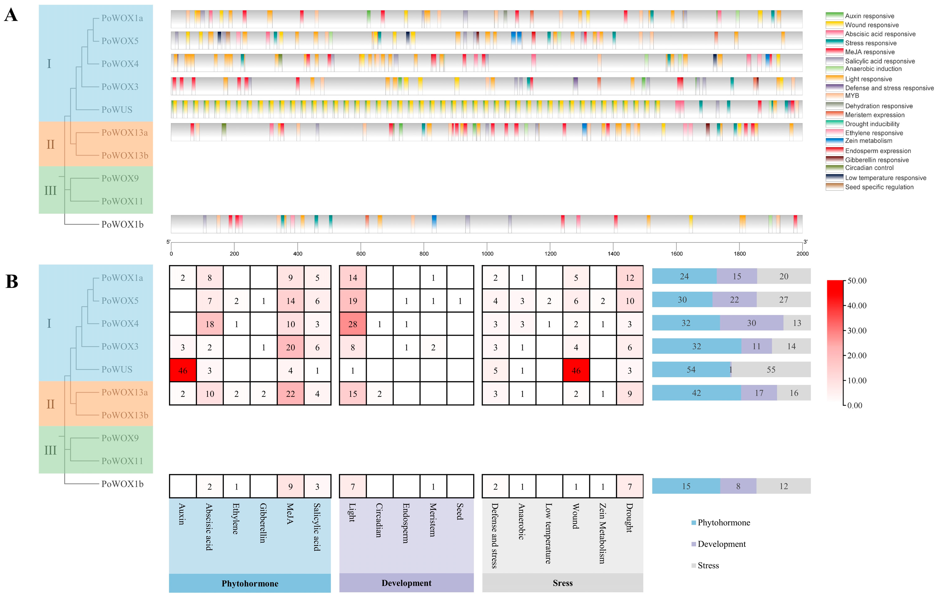 Ijms 25 07668 g006 Ijms 25 07668 g006