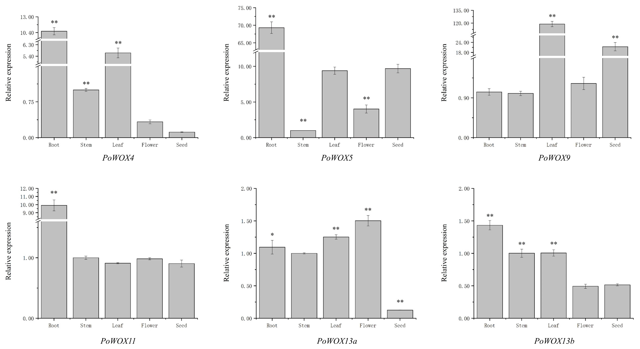 Ijms 25 07668 g007 Ijms 25 07668 g007