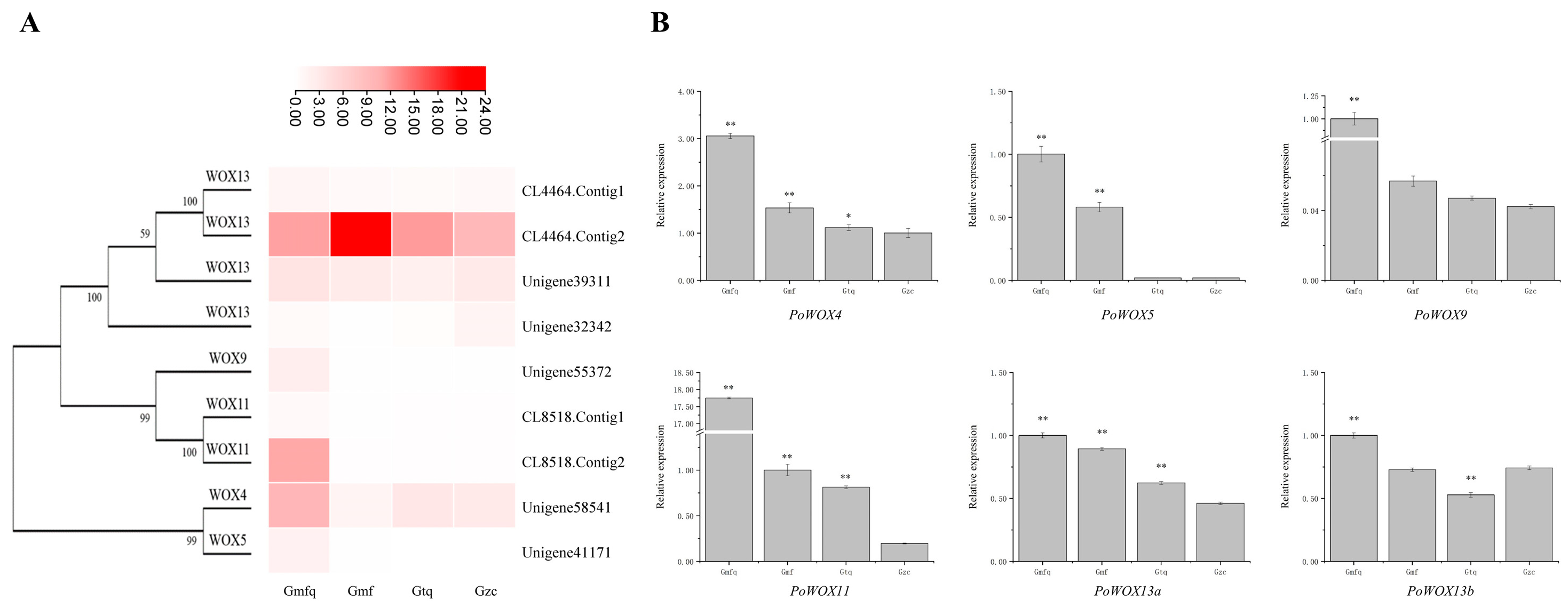 Ijms 25 07668 g008 Ijms 25 07668 g008