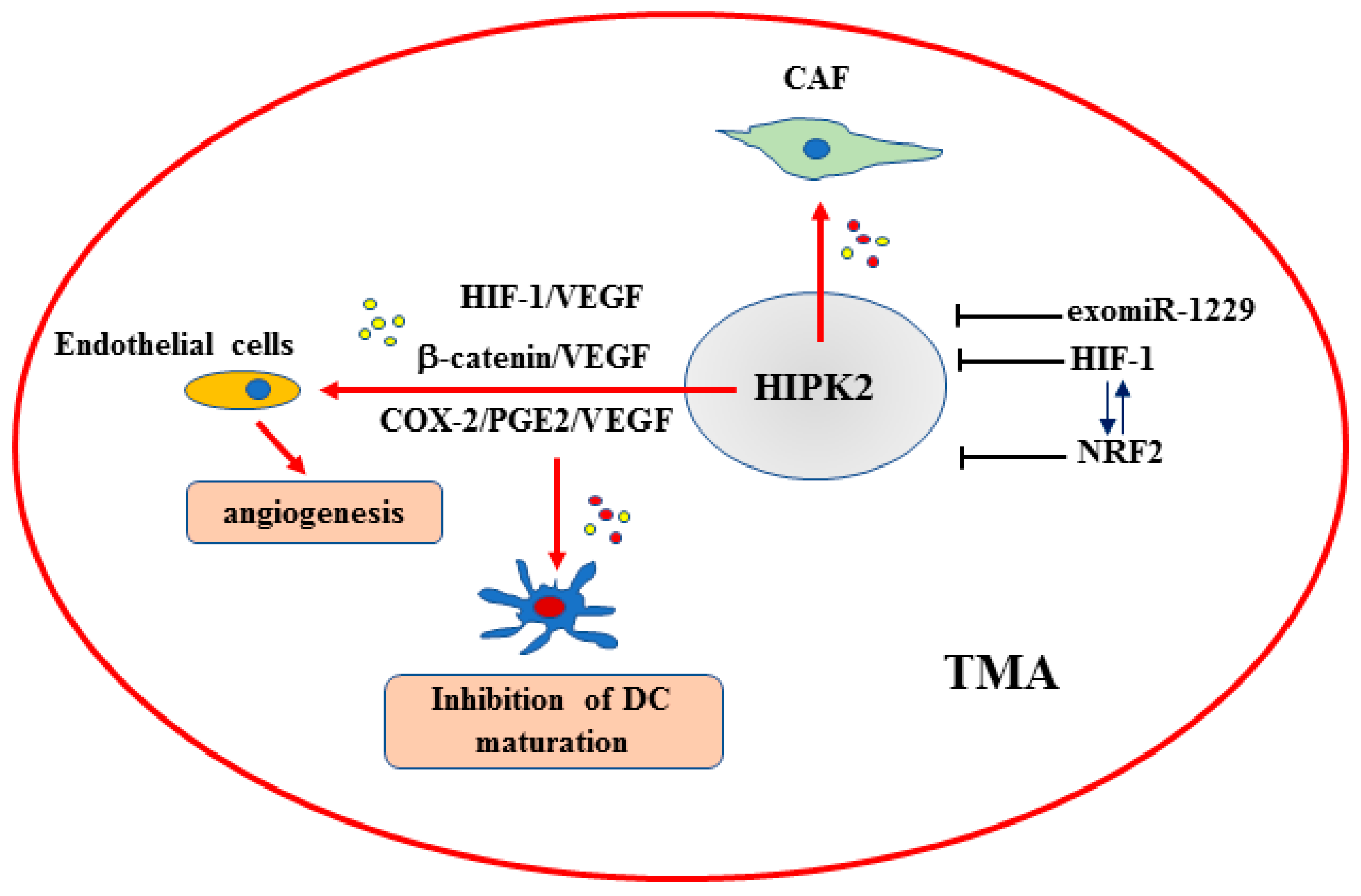Ijms 25 07678 g003 Ijms 25 07678 g003