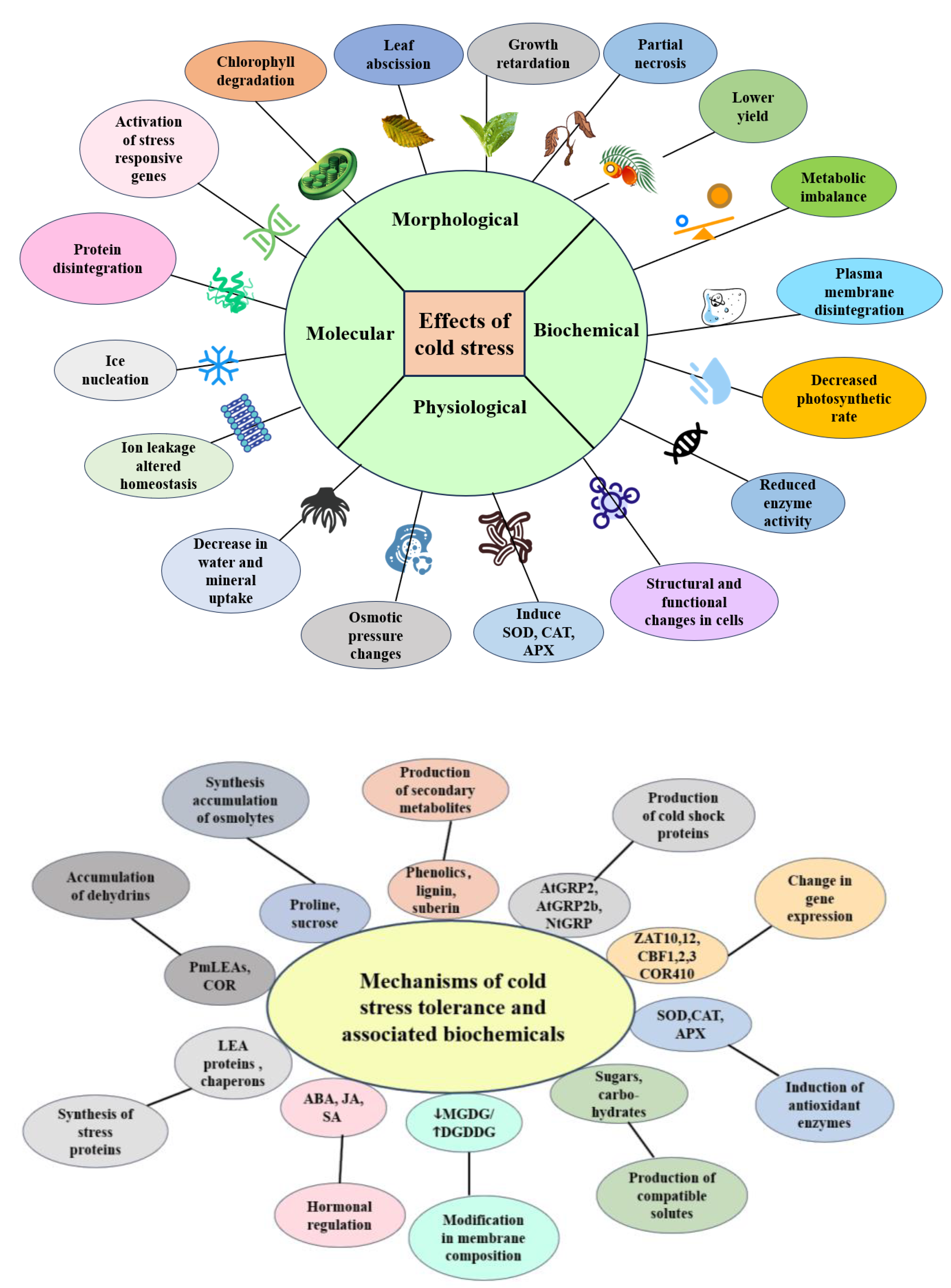 Ijms 25 07695 g001 Ijms 25 07695 g001