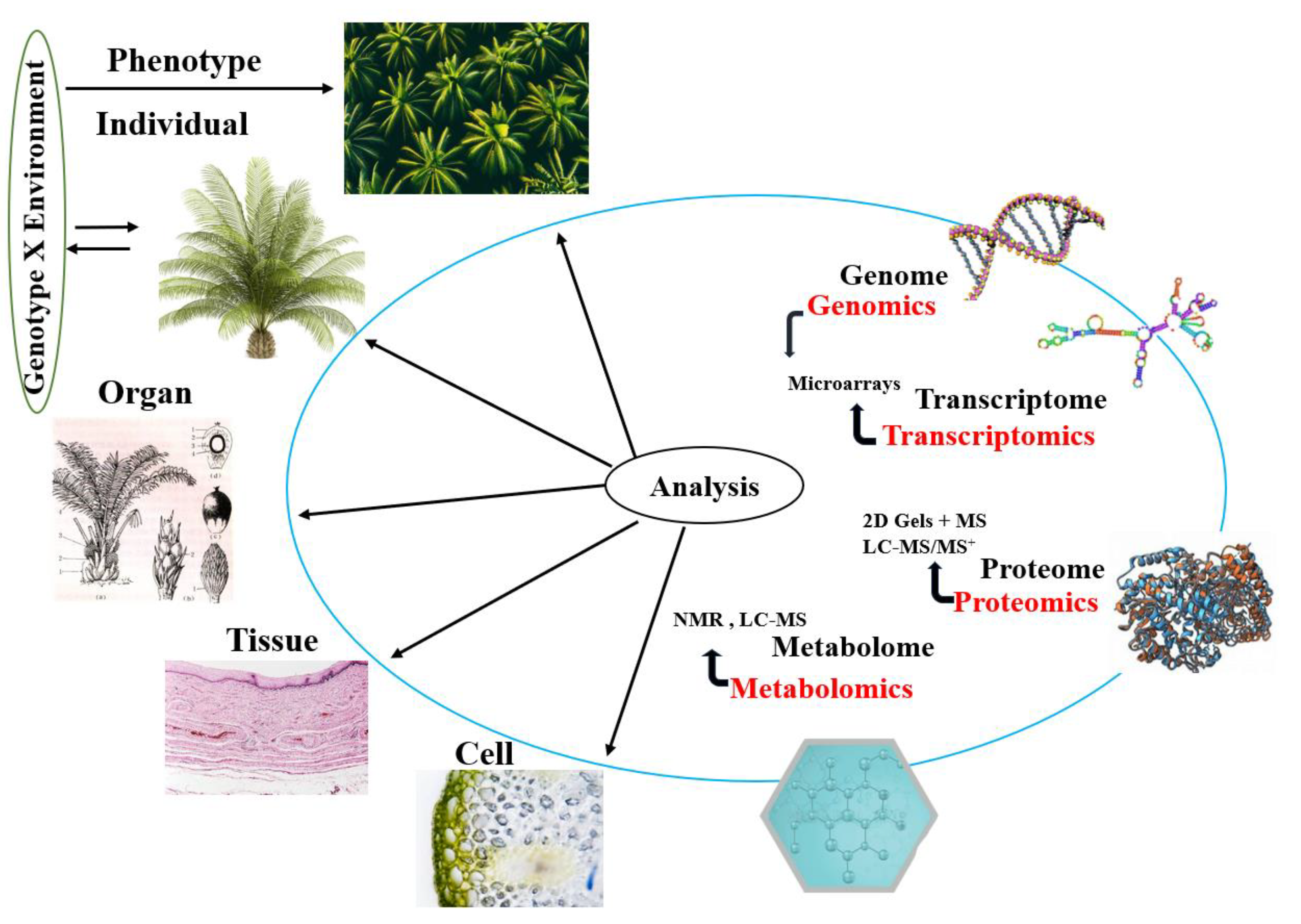 Ijms 25 07695 g002 Ijms 25 07695 g002