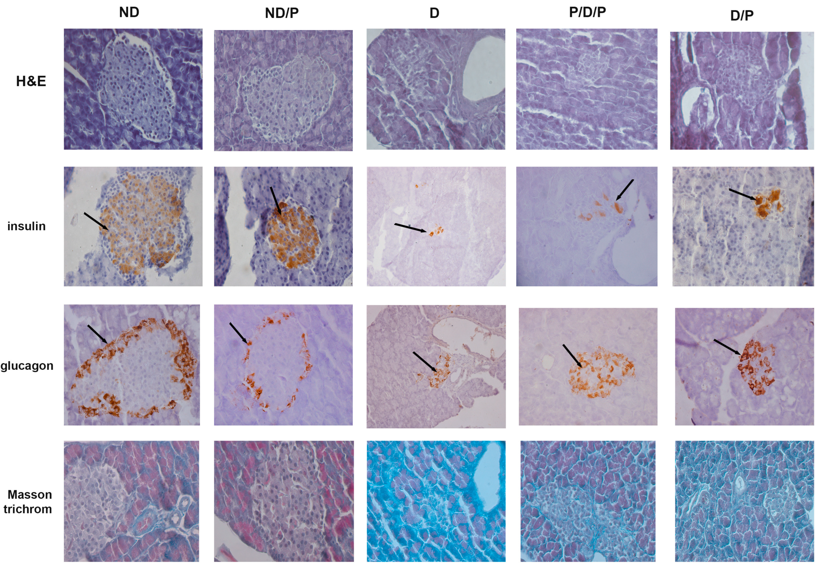 Ijms 25 07697 g002 Ijms 25 07697 g002