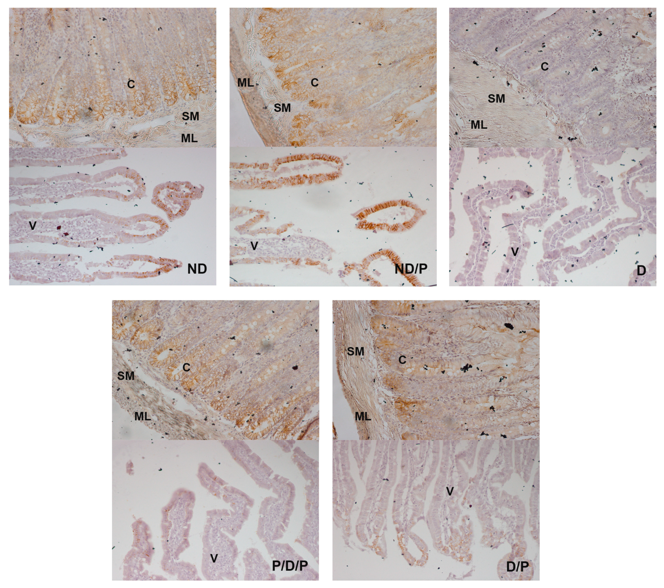 Ijms 25 07697 g008 Ijms 25 07697 g008