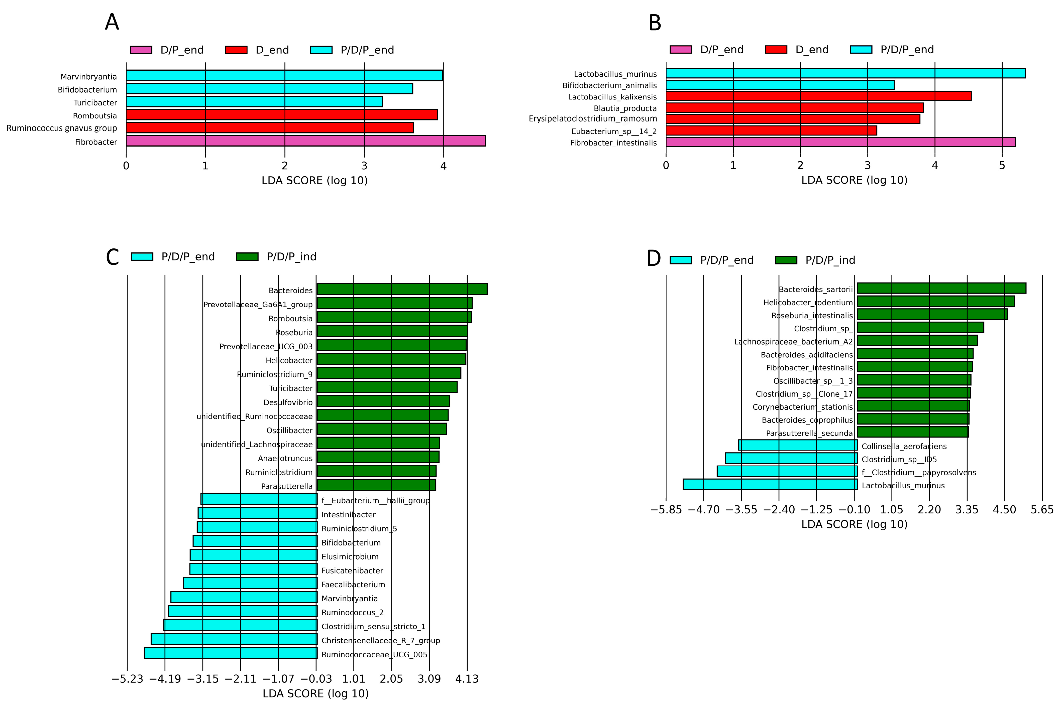 Ijms 25 07697 g009 Ijms 25 07697 g009