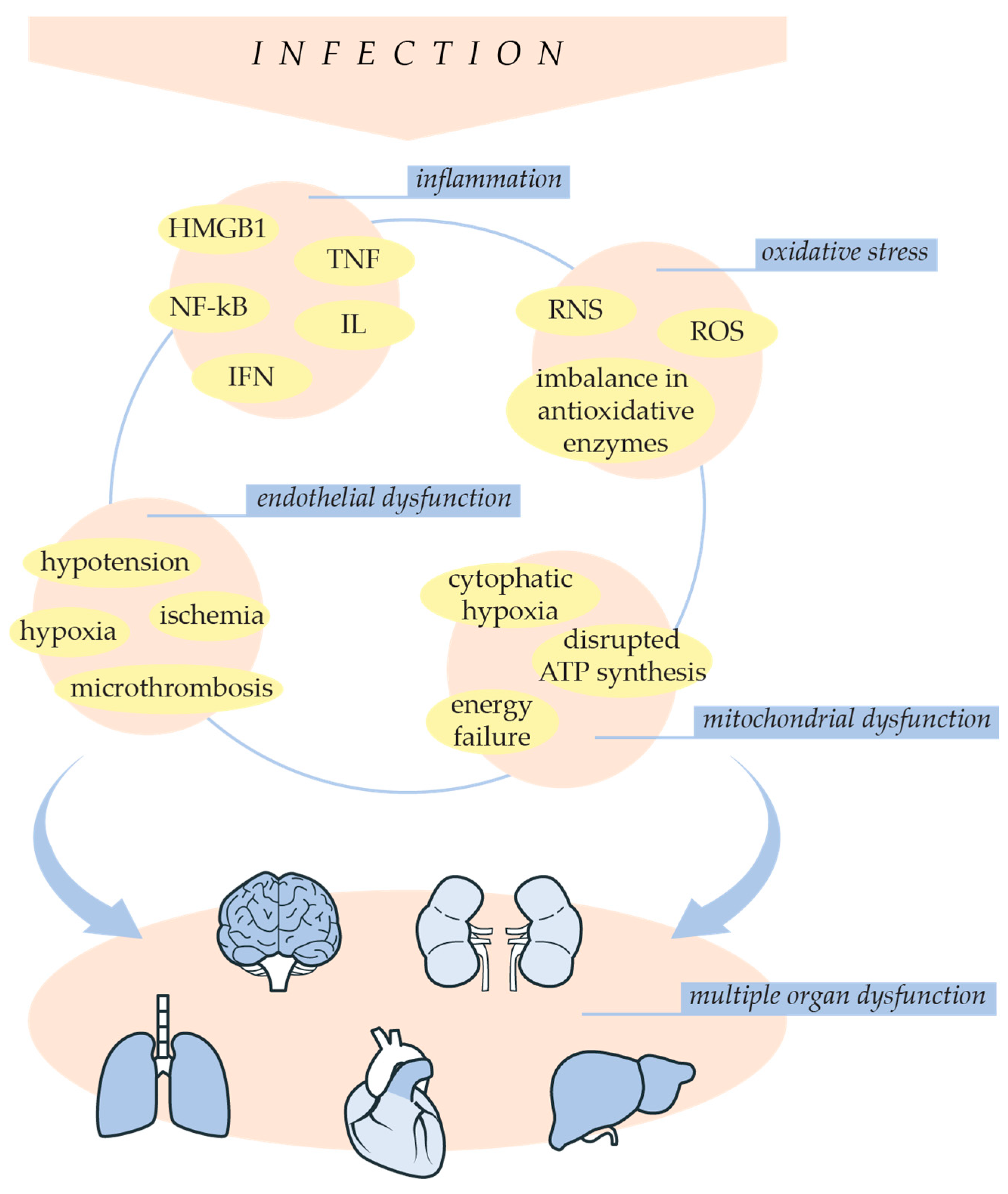 Ijms 25 07770 g003 Ijms 25 07770 g003