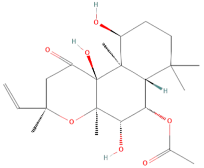 Ijms 25 07770 i005 Ijms 25 07770 i005