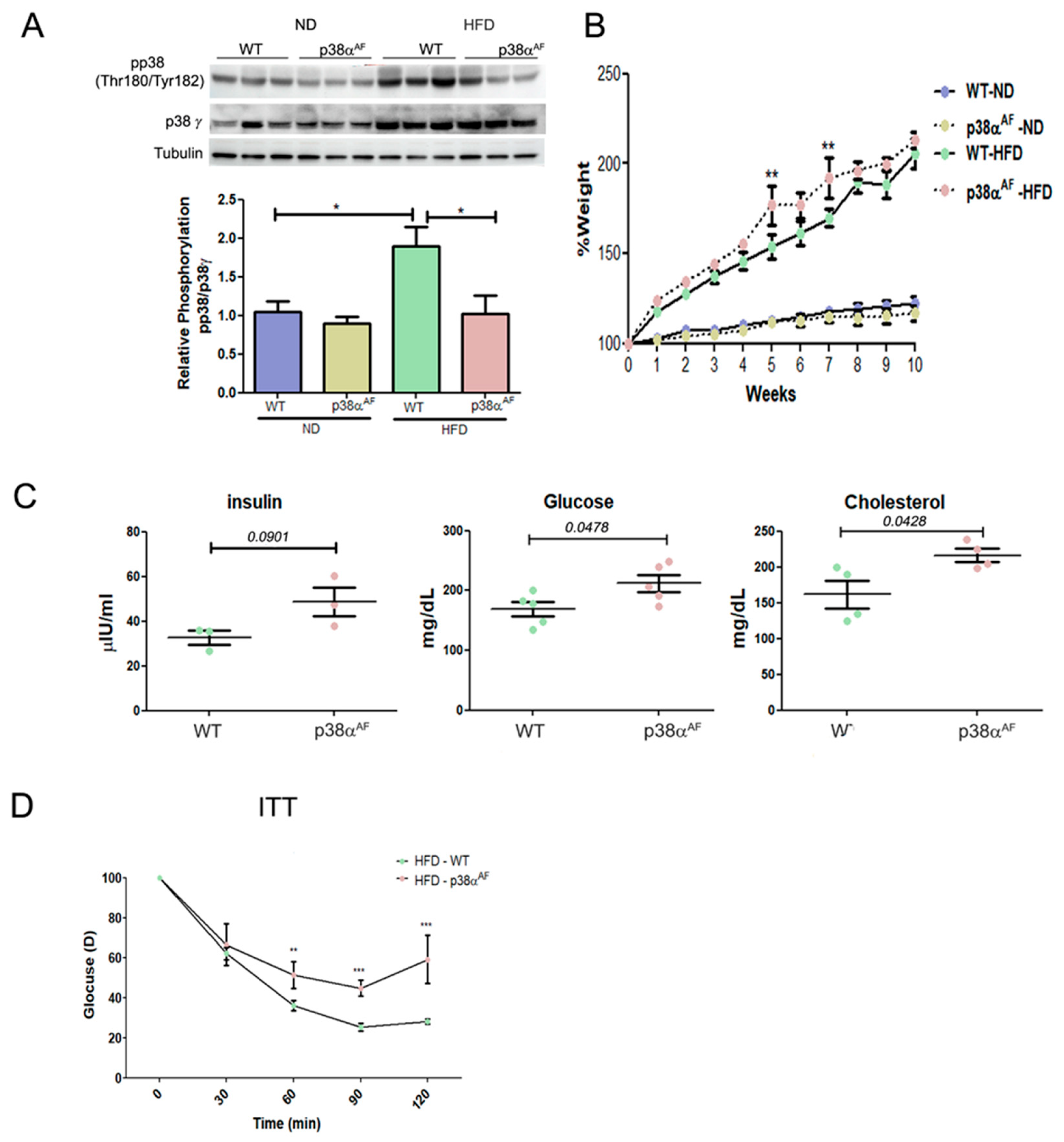 Ijms 25 07789 g001 Ijms 25 07789 g001