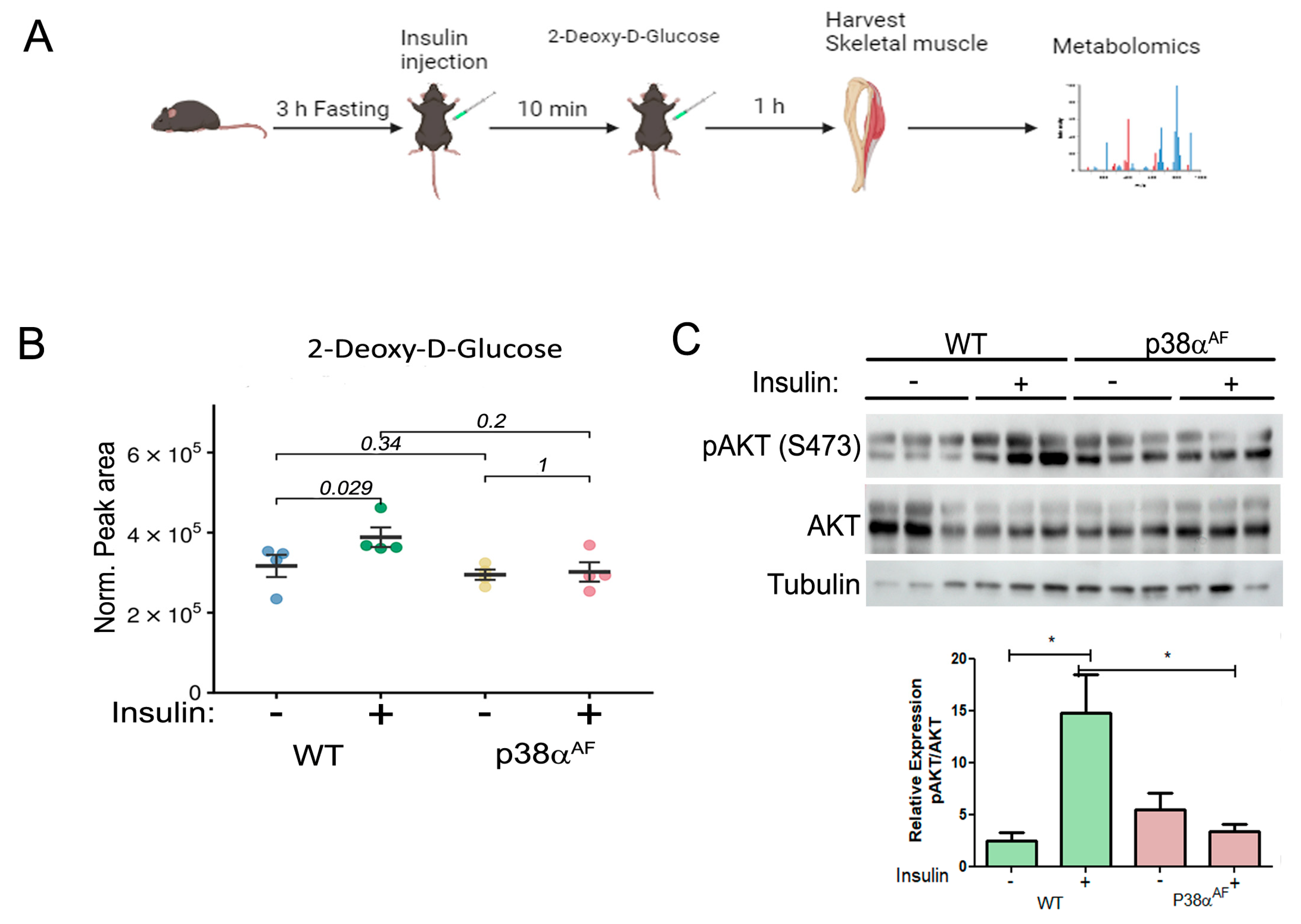 Ijms 25 07789 g002 Ijms 25 07789 g002