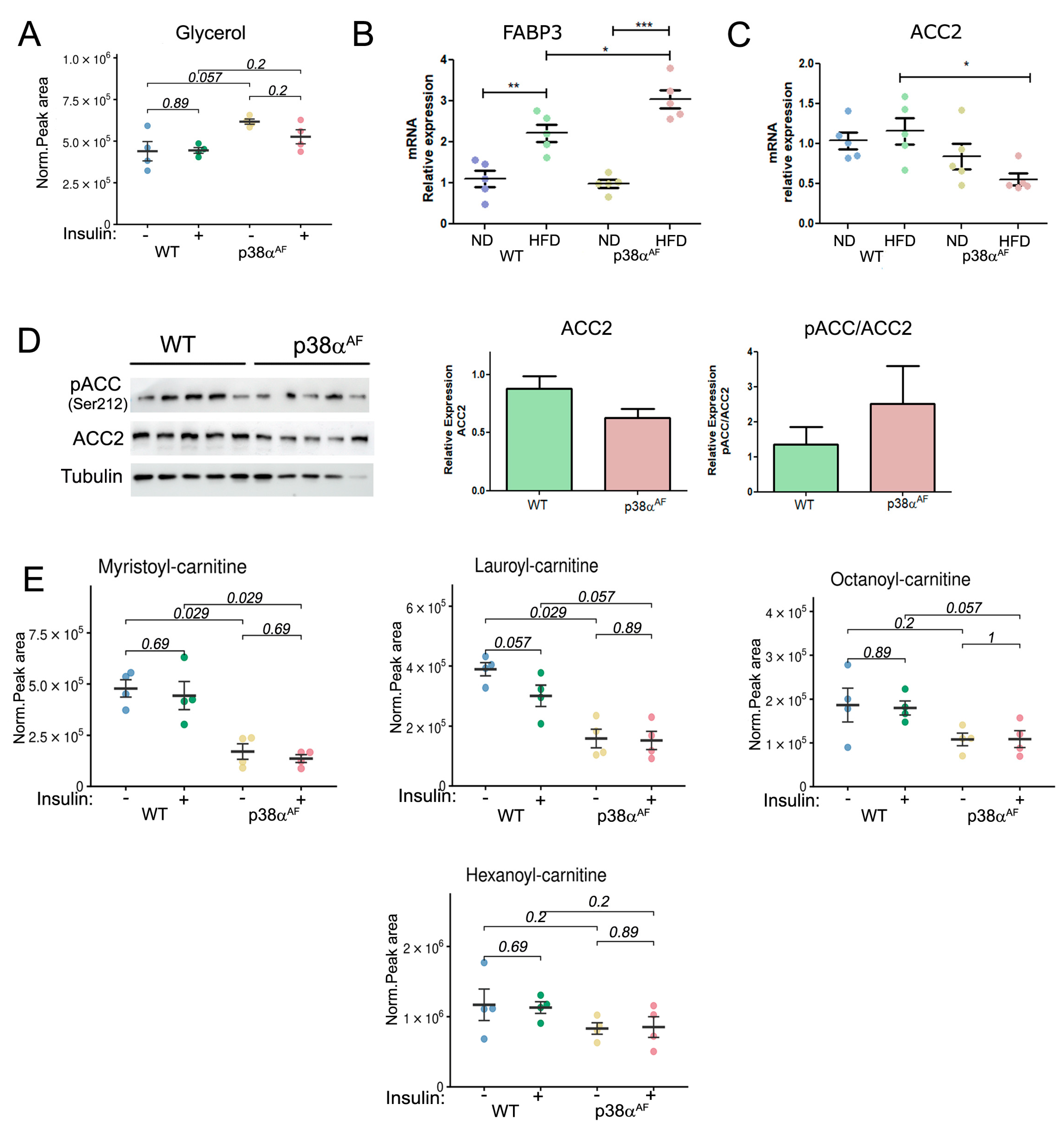 Ijms 25 07789 g004 Ijms 25 07789 g004