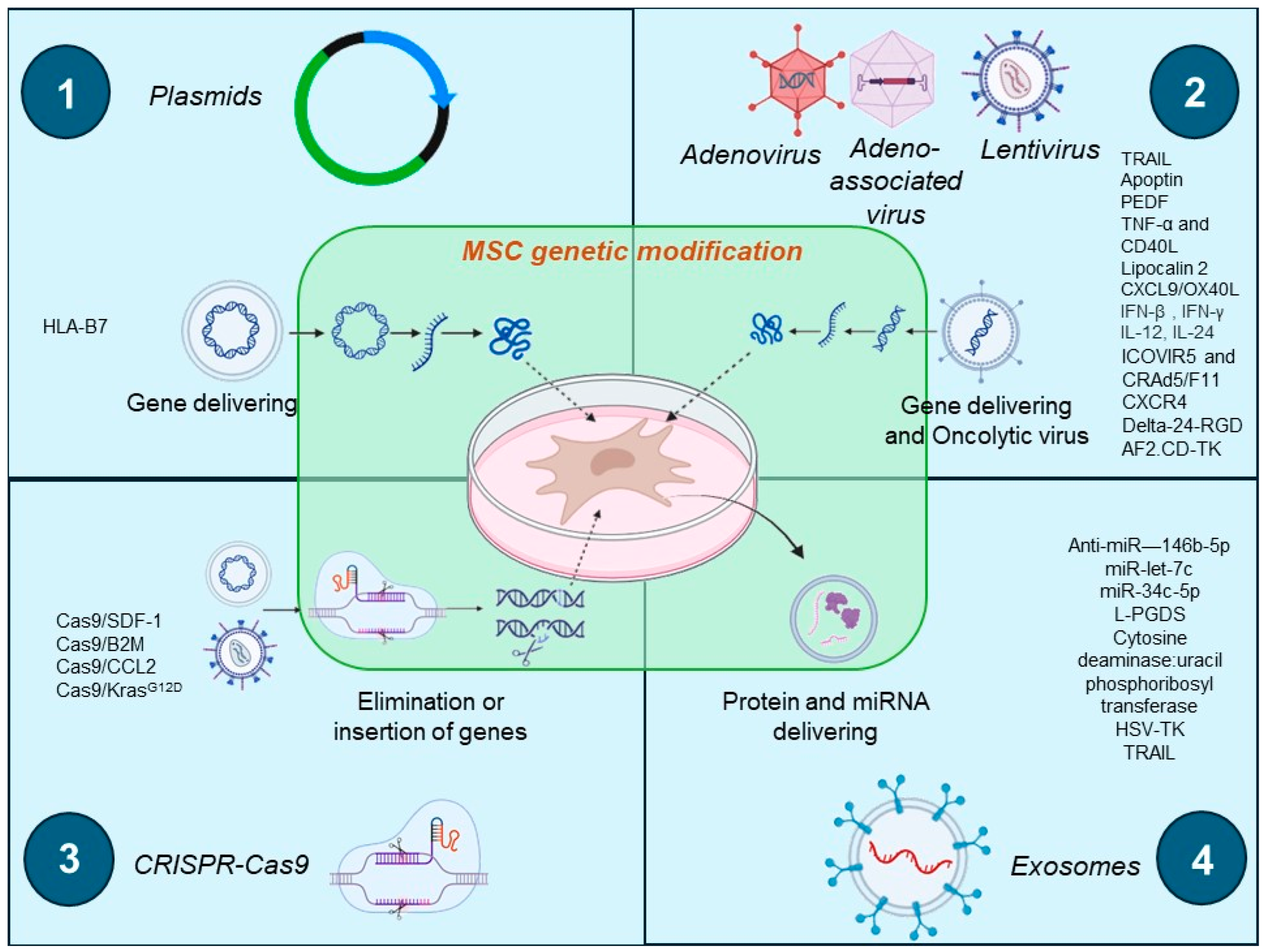 Ijms 25 07791 g002 Ijms 25 07791 g002