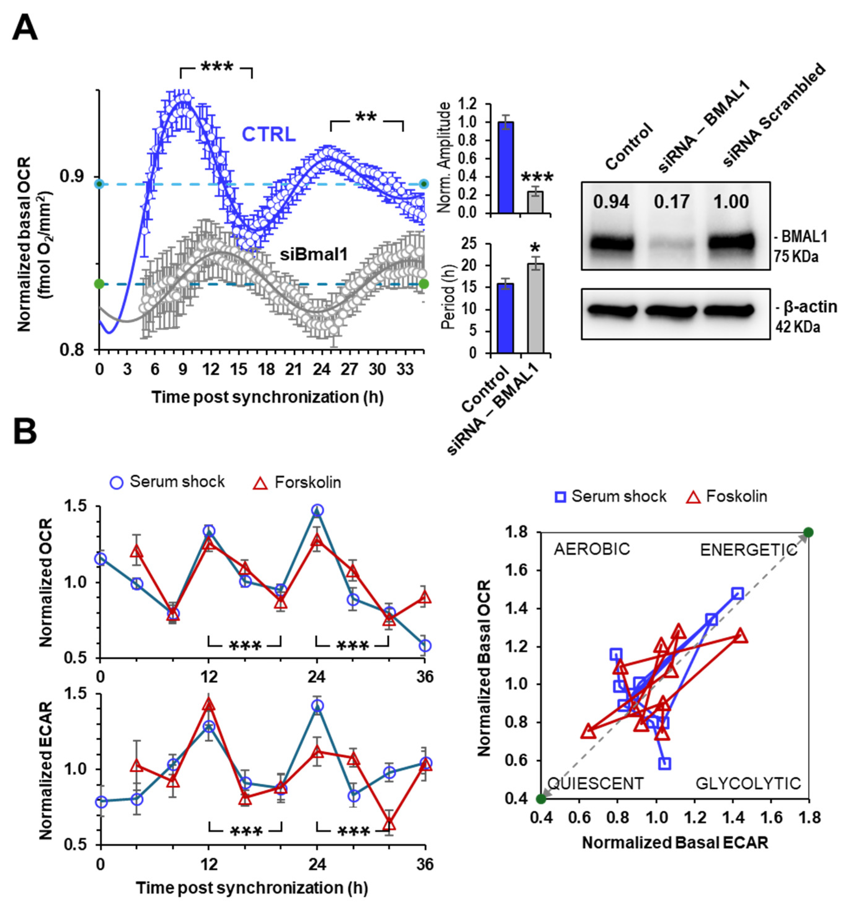 Ijms 25 07797 g002 Ijms 25 07797 g002