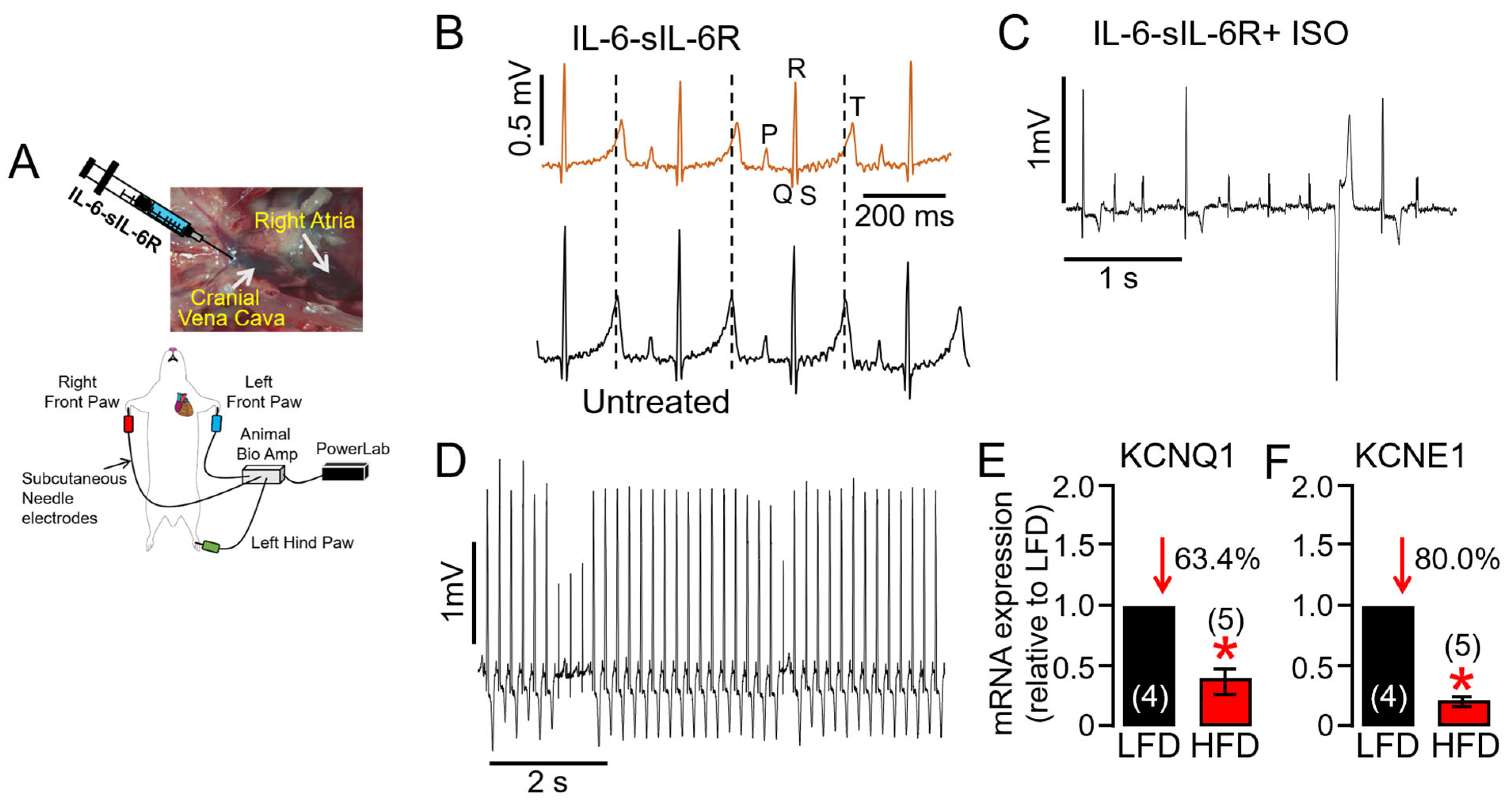Ijms 25 07813 g004 Ijms 25 07813 g004