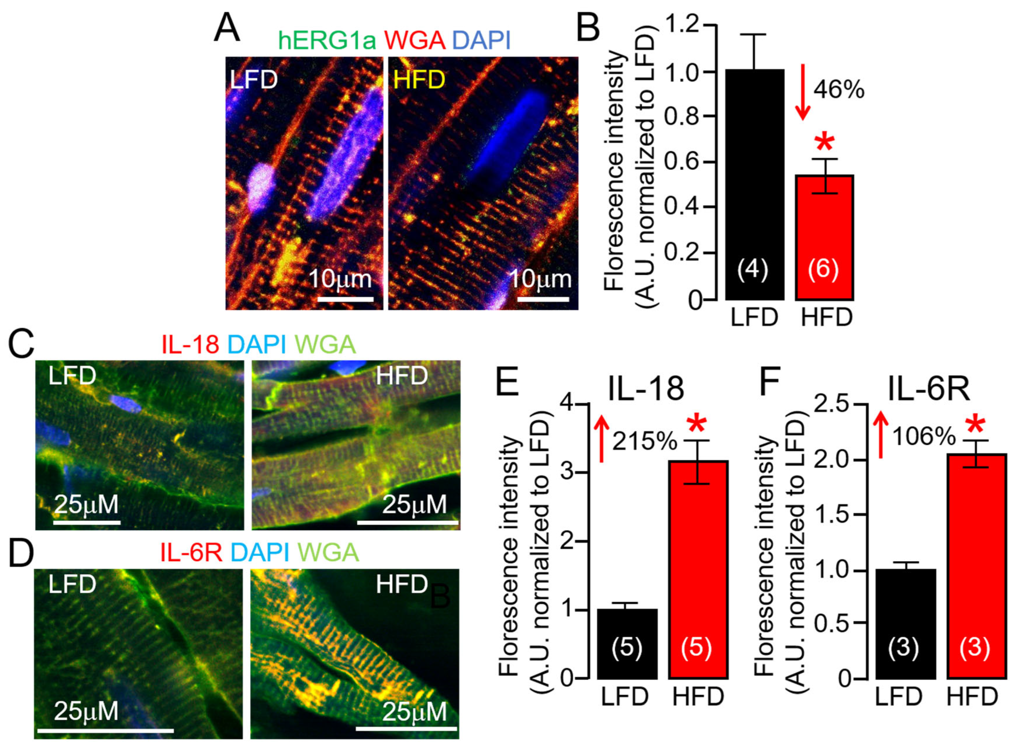 Ijms 25 07813 g008 Ijms 25 07813 g008