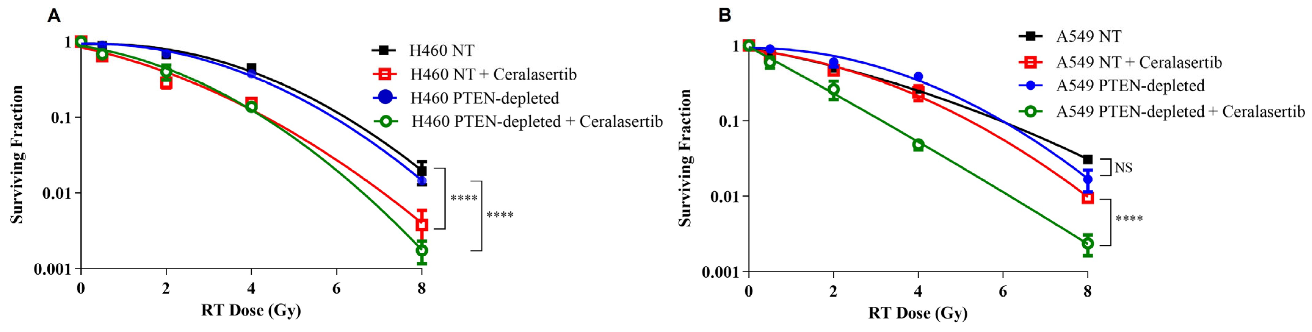 Ijms 25 07817 g001 Ijms 25 07817 g001