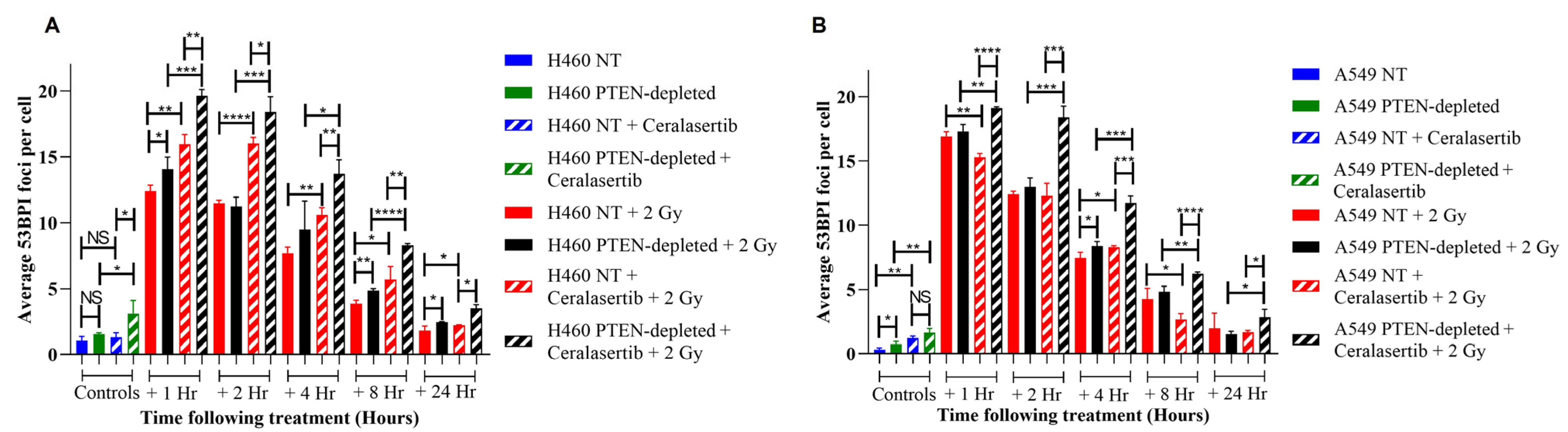 Ijms 25 07817 g002 Ijms 25 07817 g002