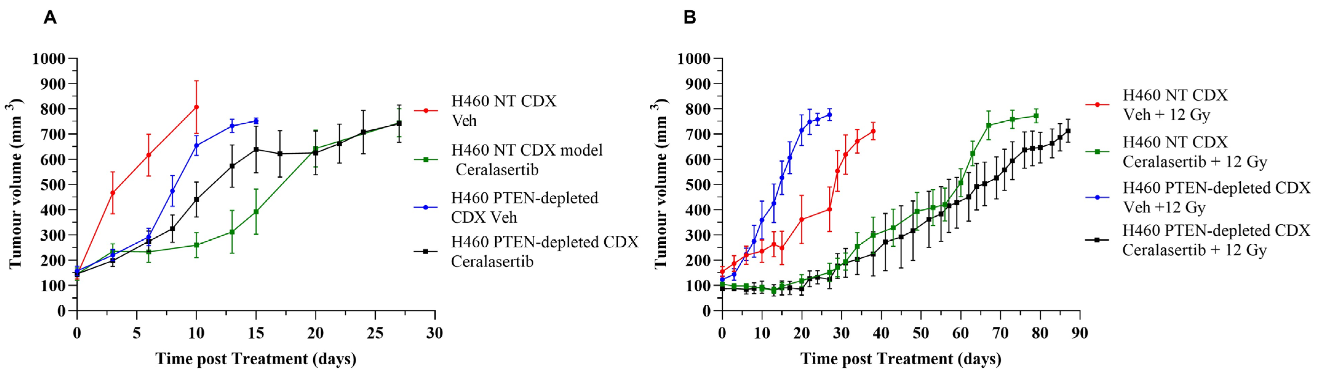 Ijms 25 07817 g005 Ijms 25 07817 g005
