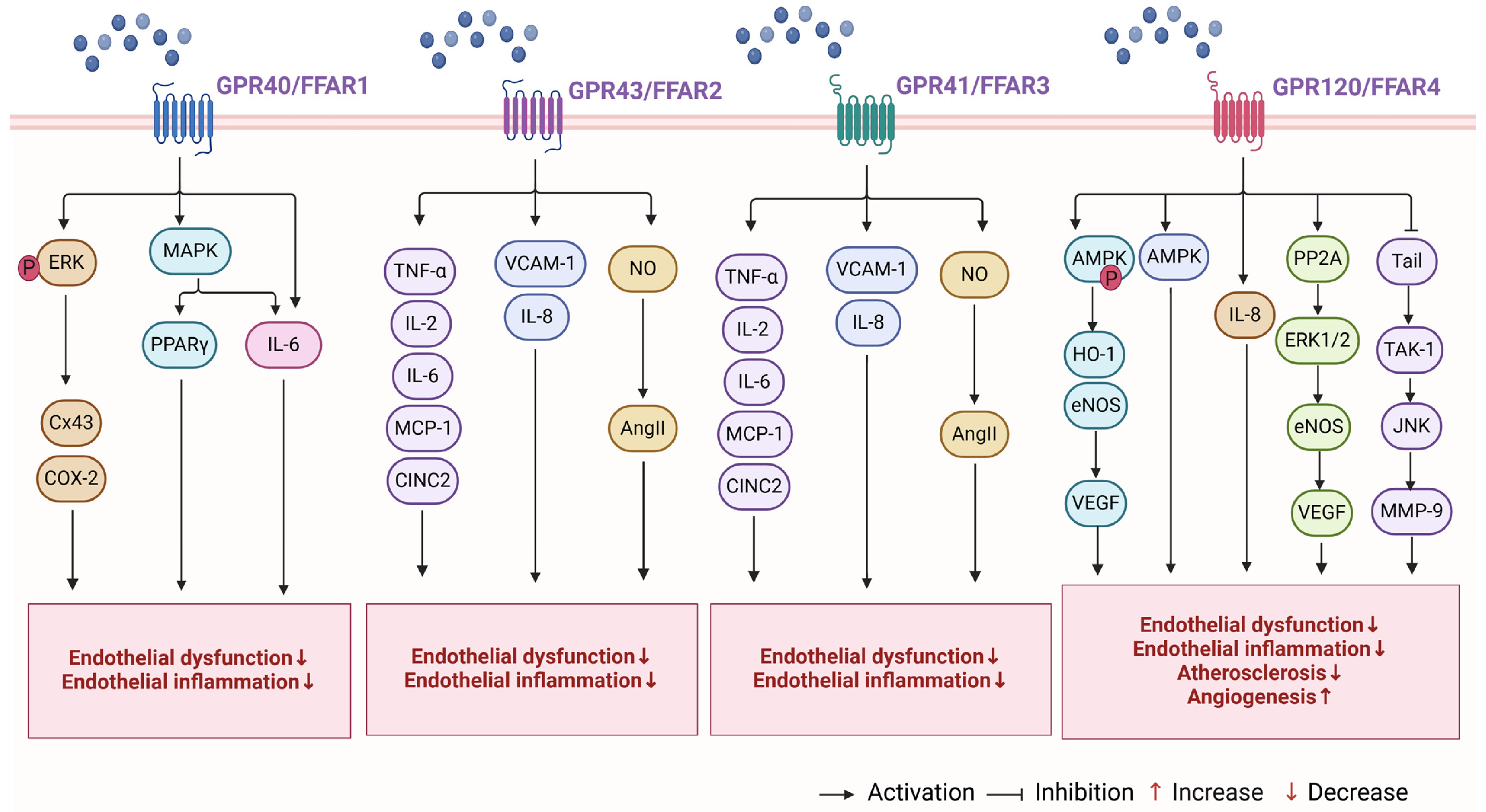 Ijms 25 07853 g003 Ijms 25 07853 g003