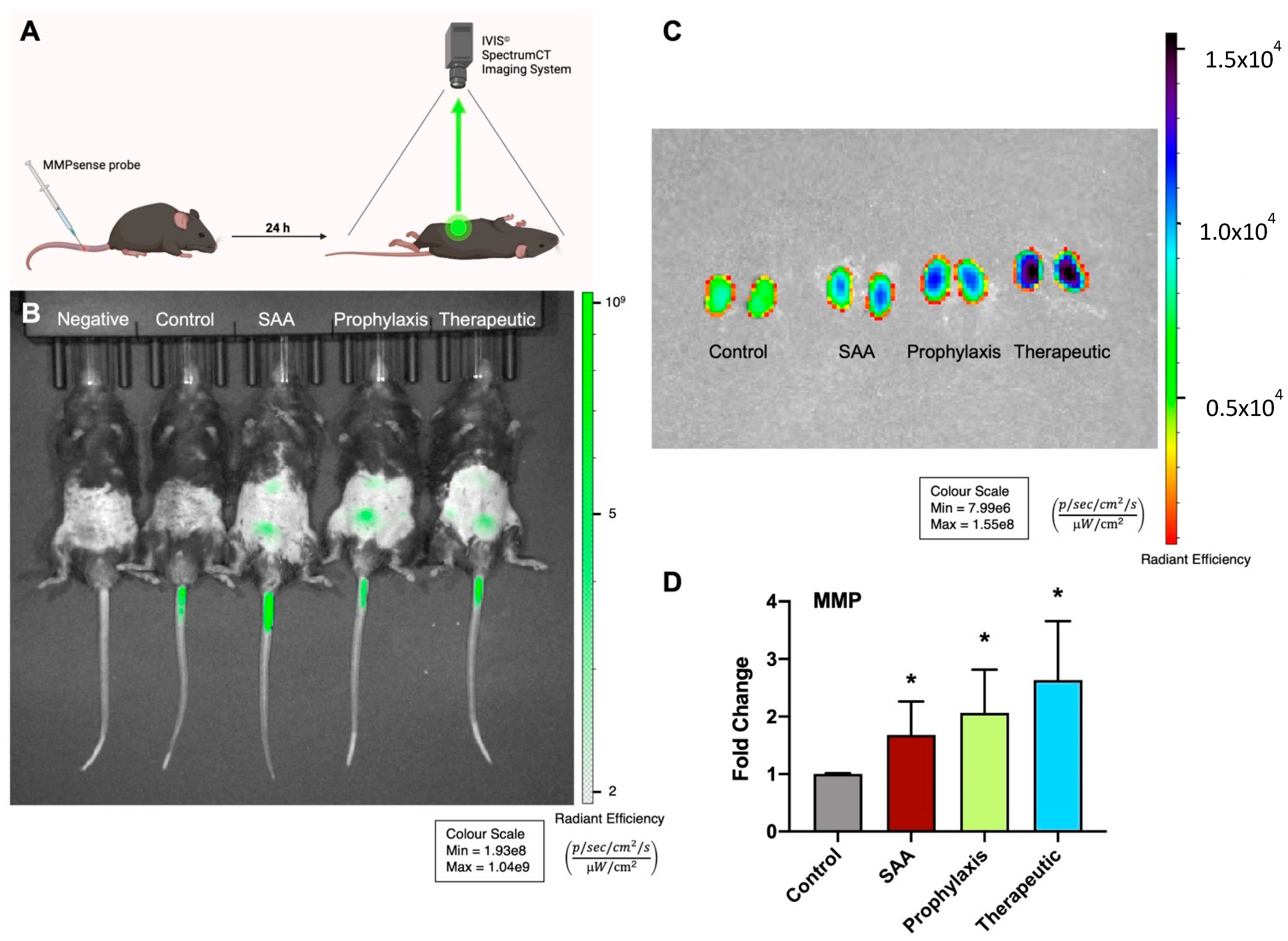 Ijms 25 07863 g002 Ijms 25 07863 g002