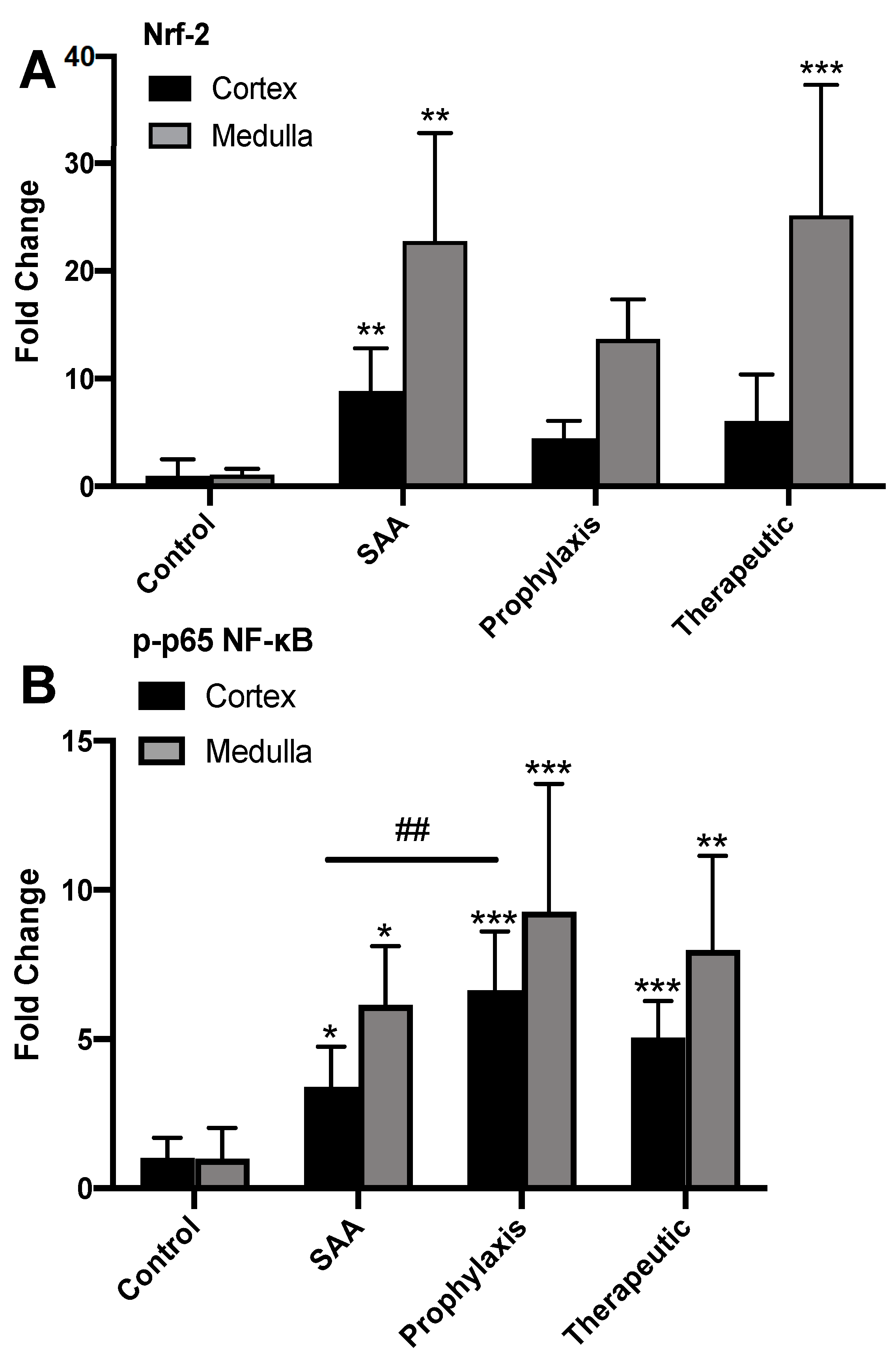 Ijms 25 07863 g006 Ijms 25 07863 g006