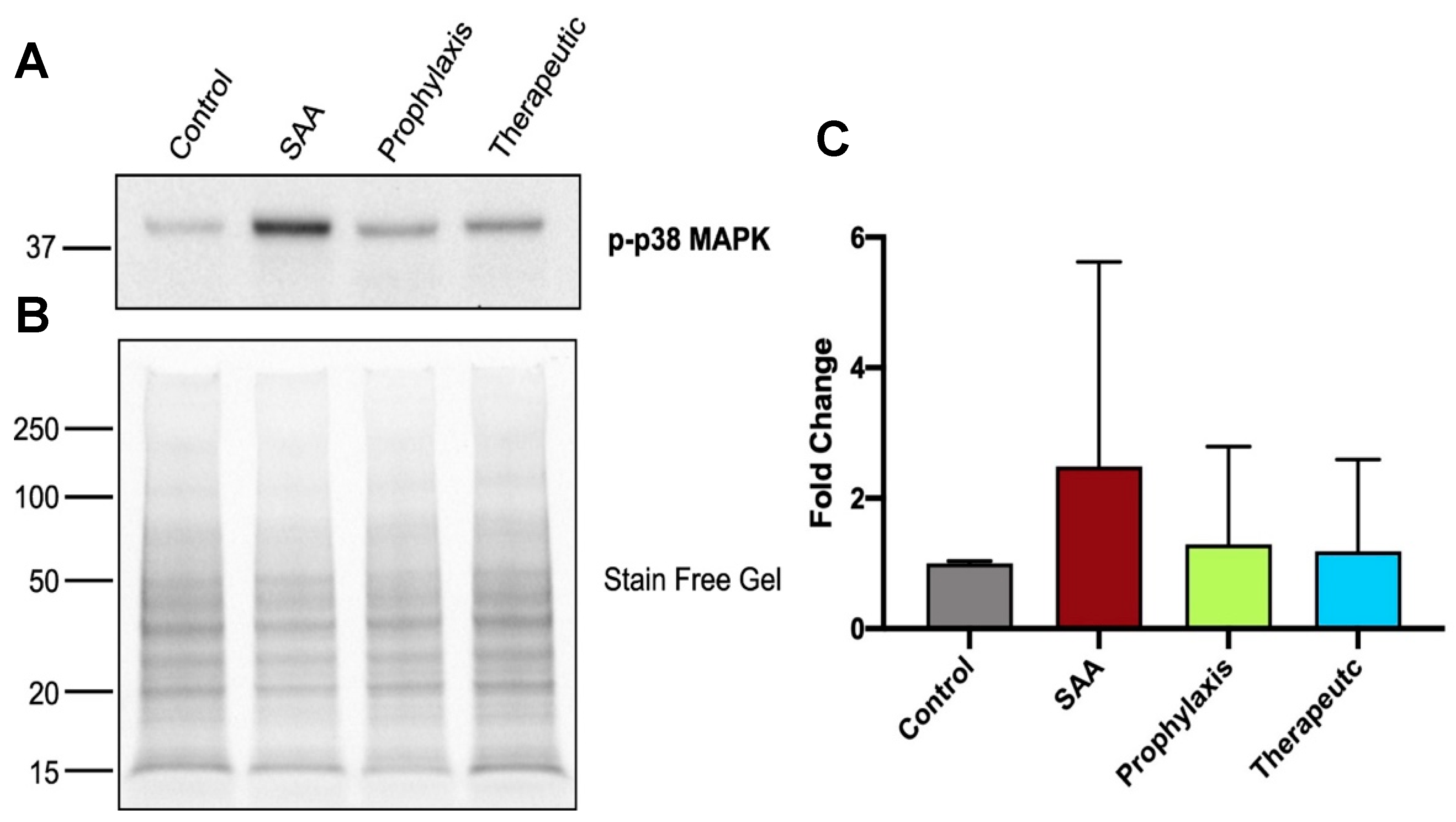 Ijms 25 07863 g007 Ijms 25 07863 g007