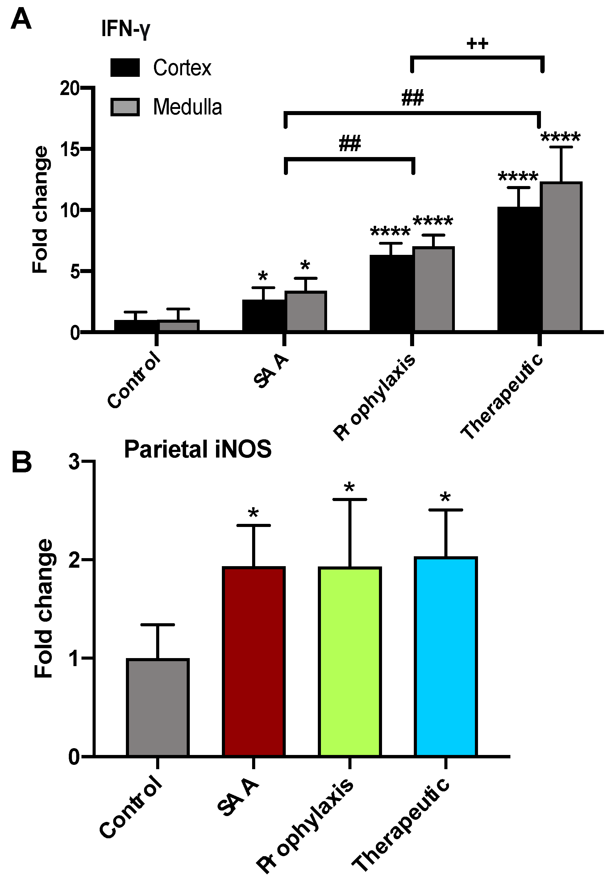 Ijms 25 07863 g010 Ijms 25 07863 g010