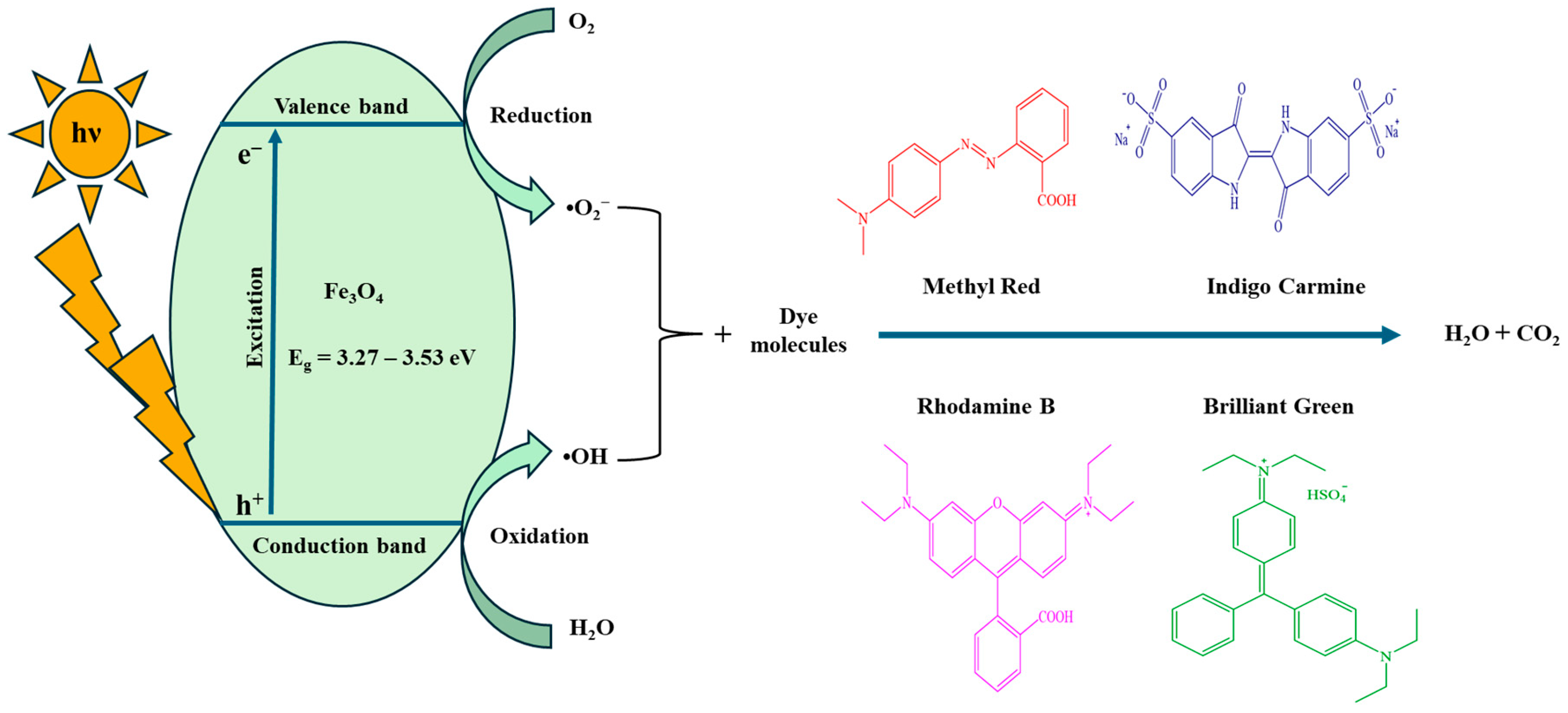 Ijms 25 07876 sch001
