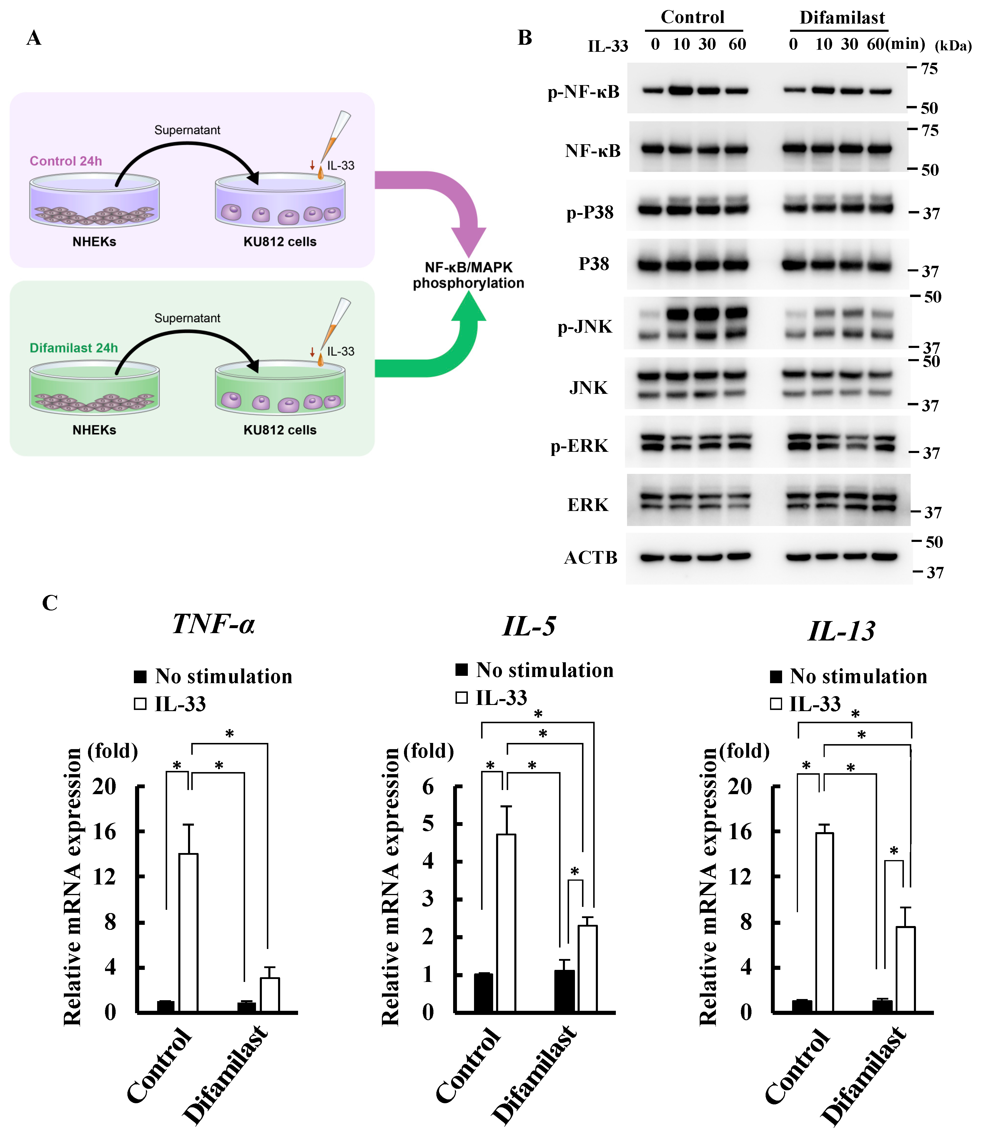 Ijms 25 07910 g002 Ijms 25 07910 g002