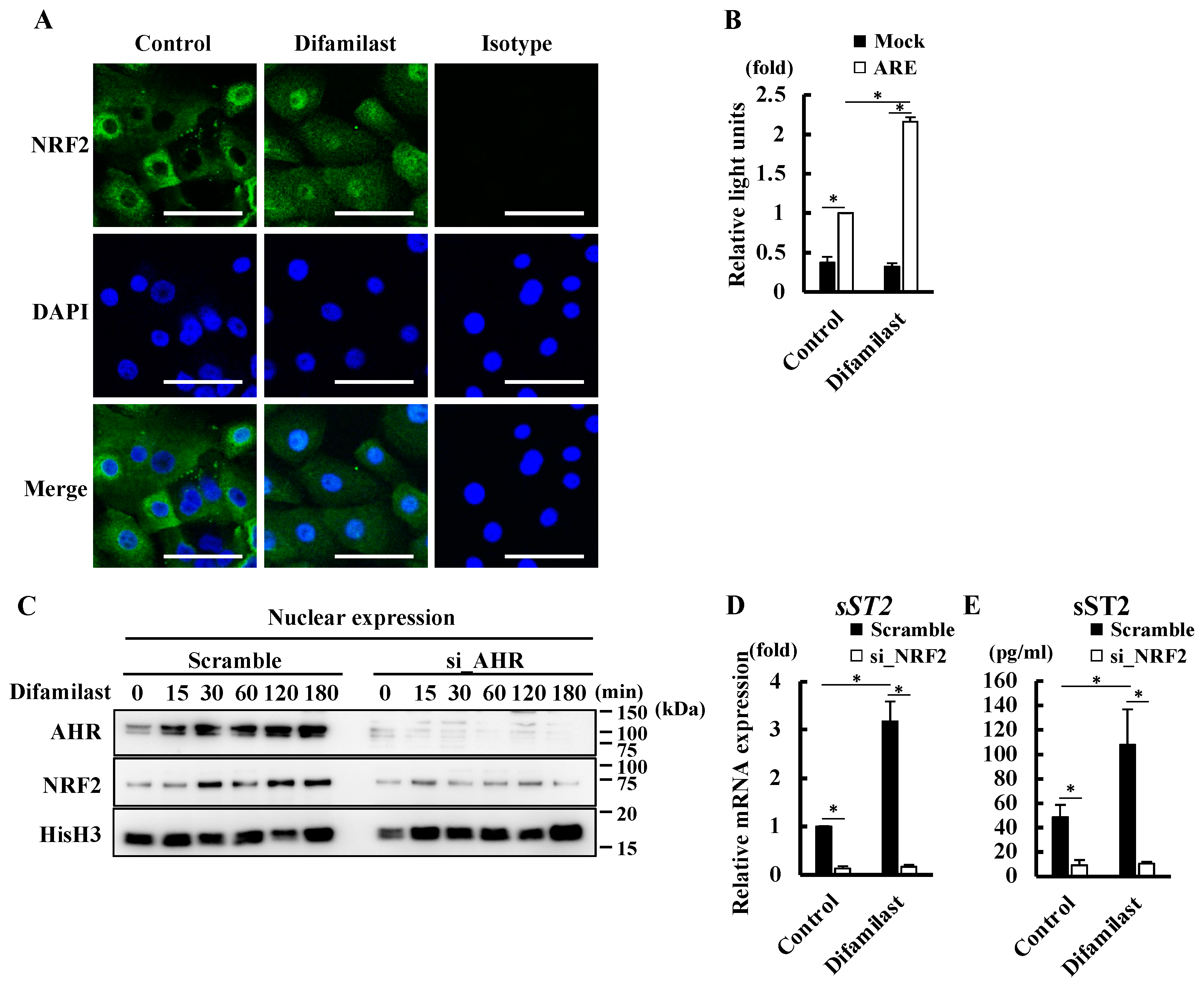 Ijms 25 07910 g004 Ijms 25 07910 g004