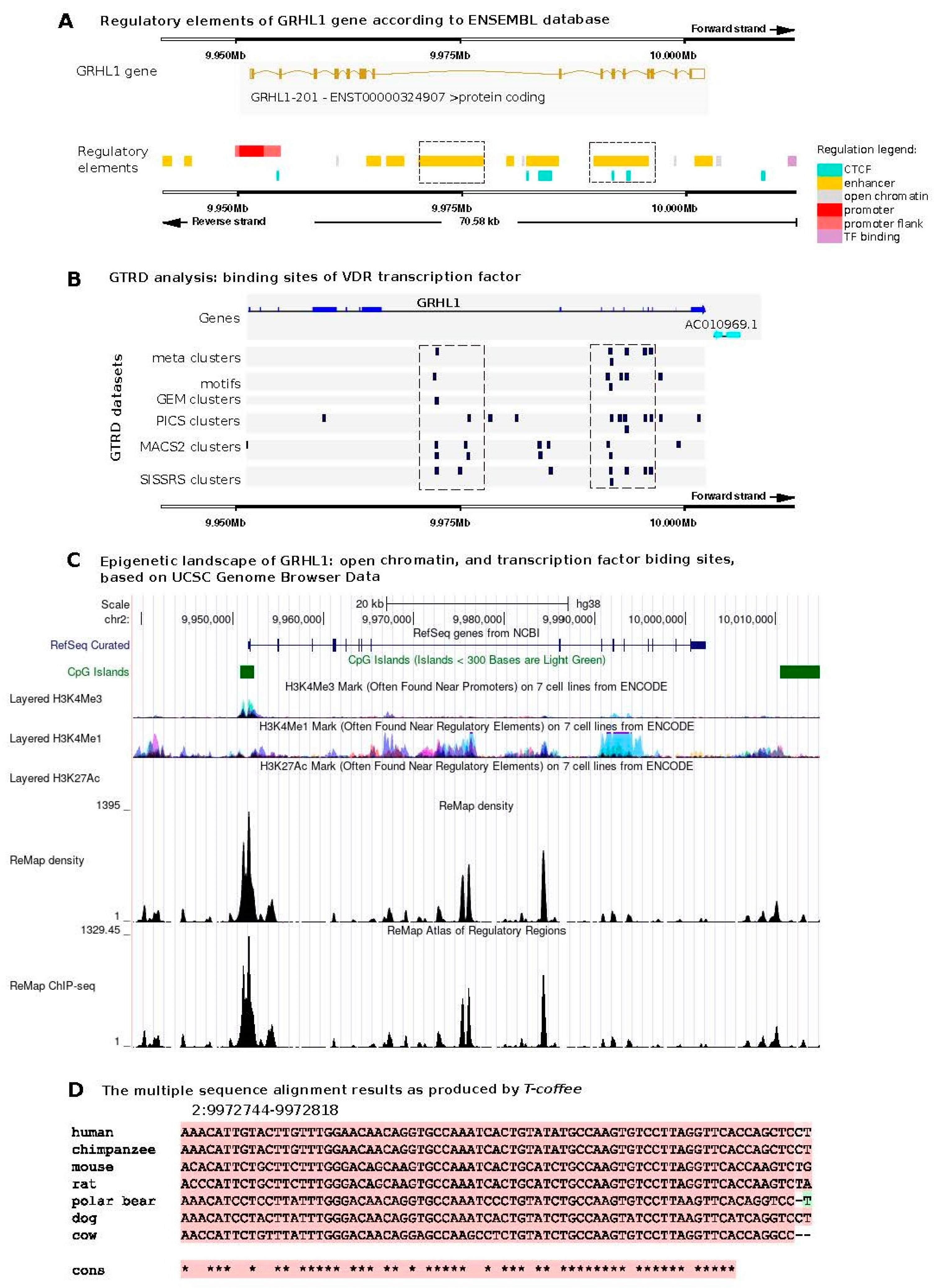Ijms 25 07913 g001 Ijms 25 07913 g001