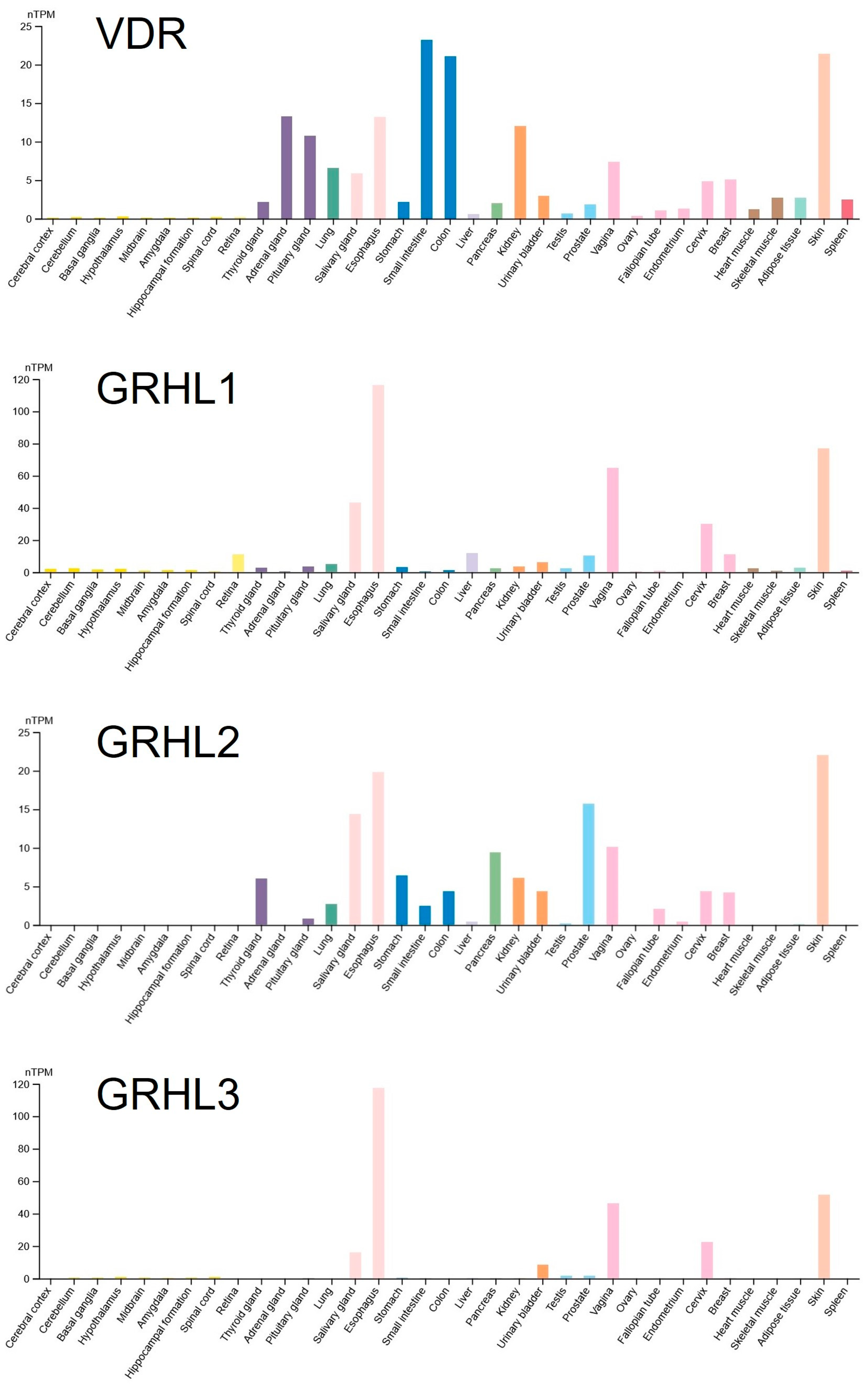 Ijms 25 07913 g002 Ijms 25 07913 g002