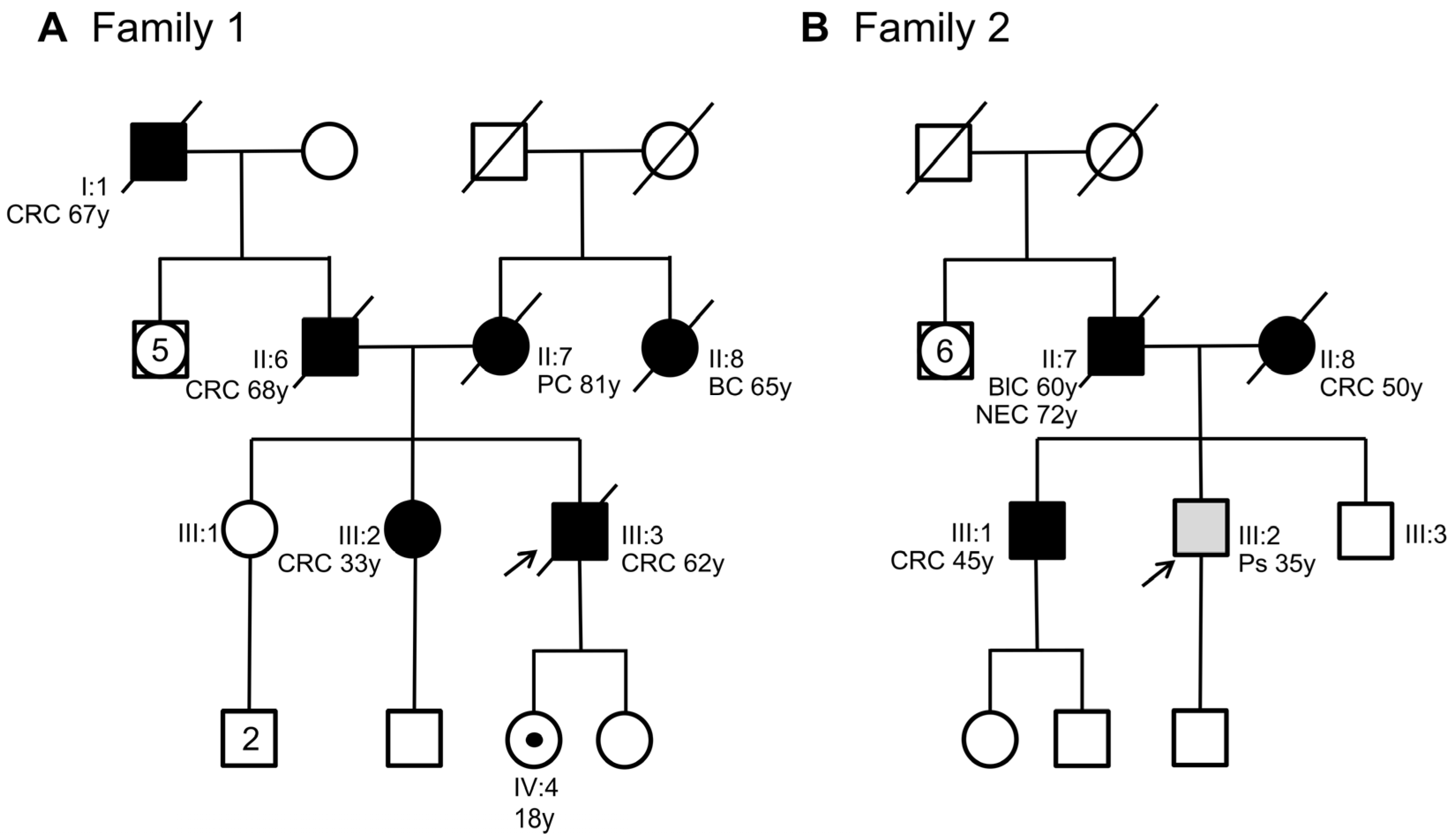 Ijms 25 07939 g001 Ijms 25 07939 g001