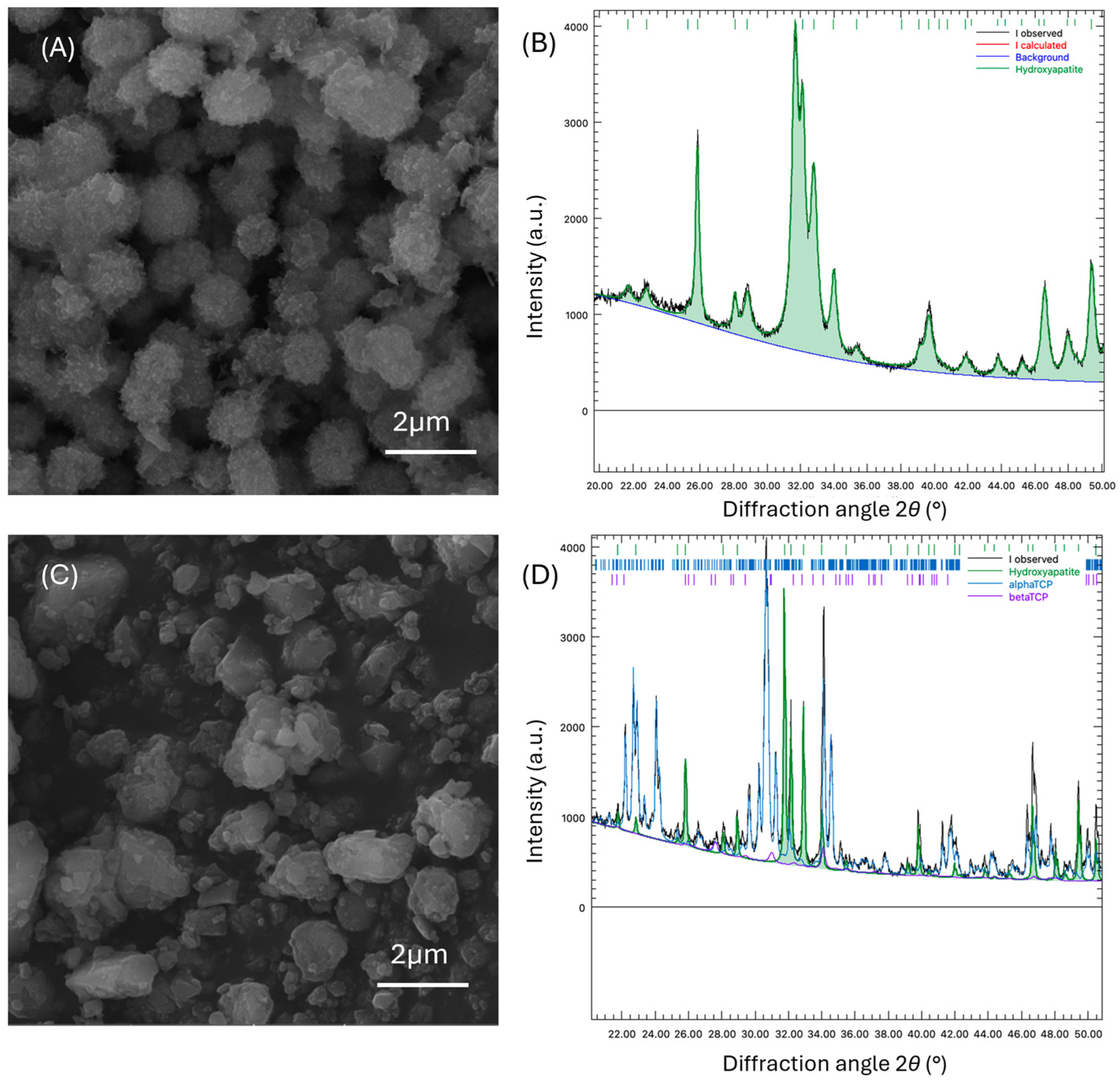 Ijms 25 07940 g001 Ijms 25 07940 g001