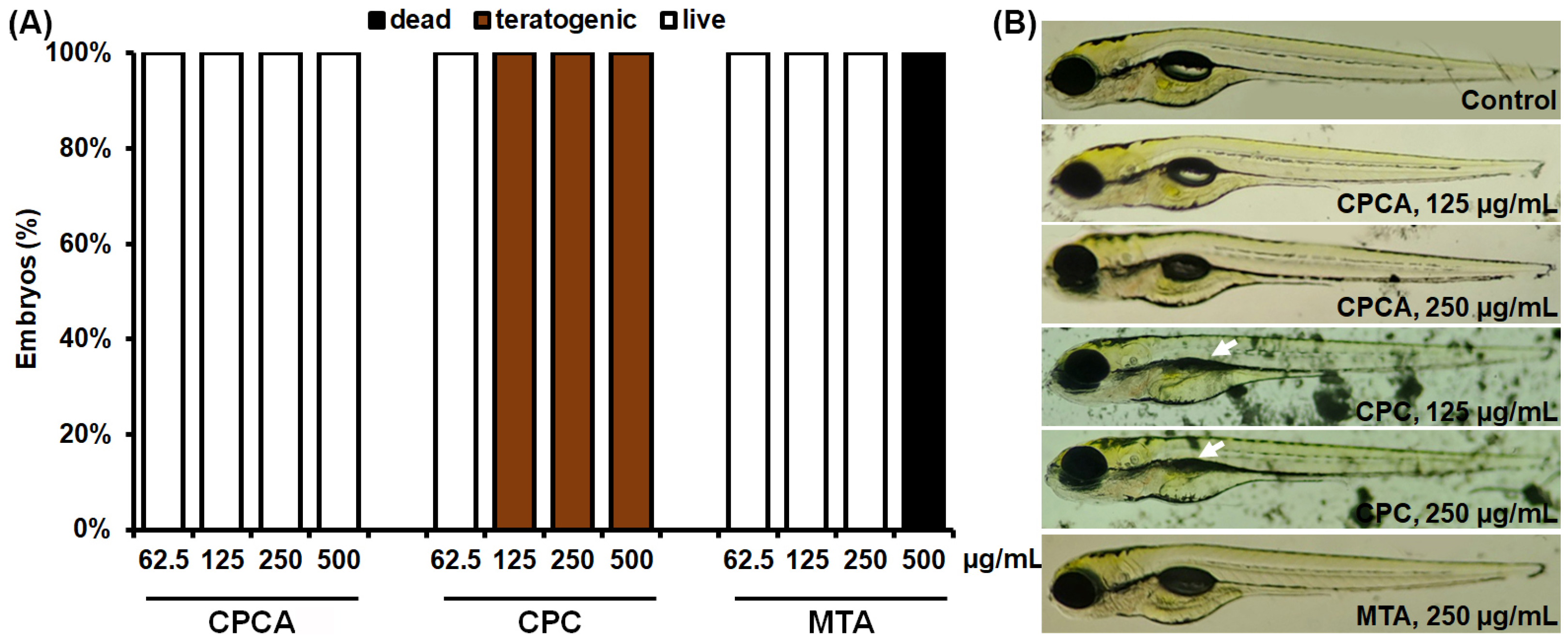 Ijms 25 07940 g004 Ijms 25 07940 g004