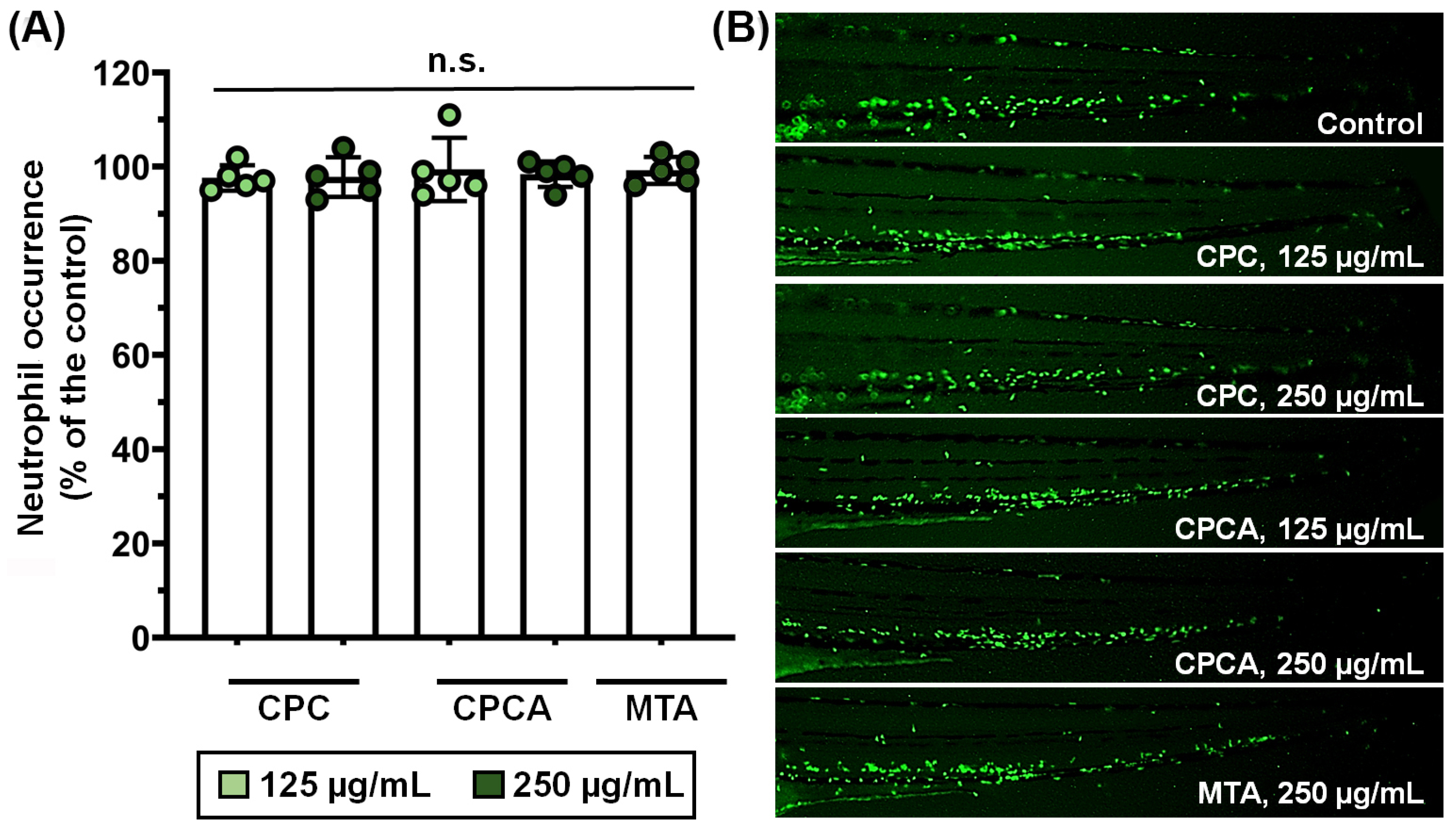 Ijms 25 07940 g005 Ijms 25 07940 g005