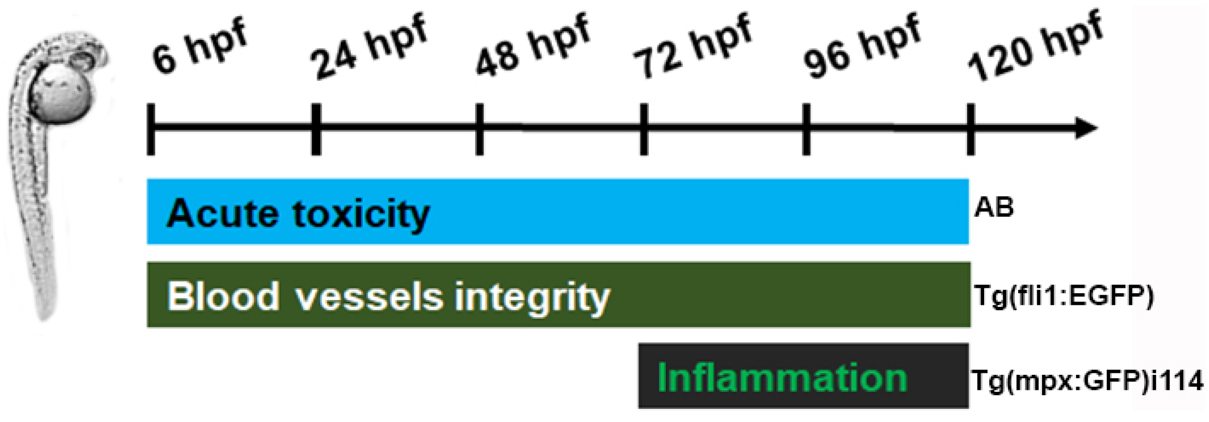 Ijms 25 07940 g009 Ijms 25 07940 g009