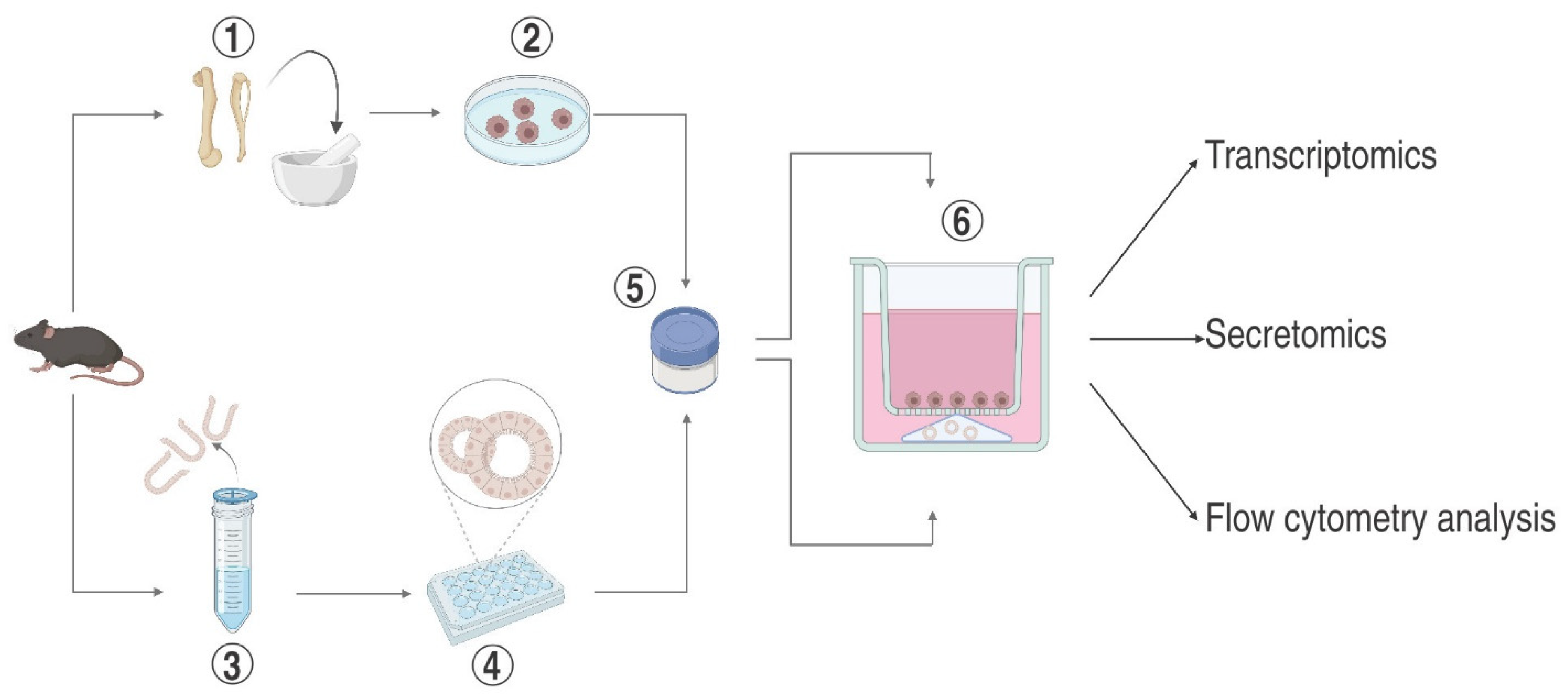 Ijms 25 07944 g001 Ijms 25 07944 g001