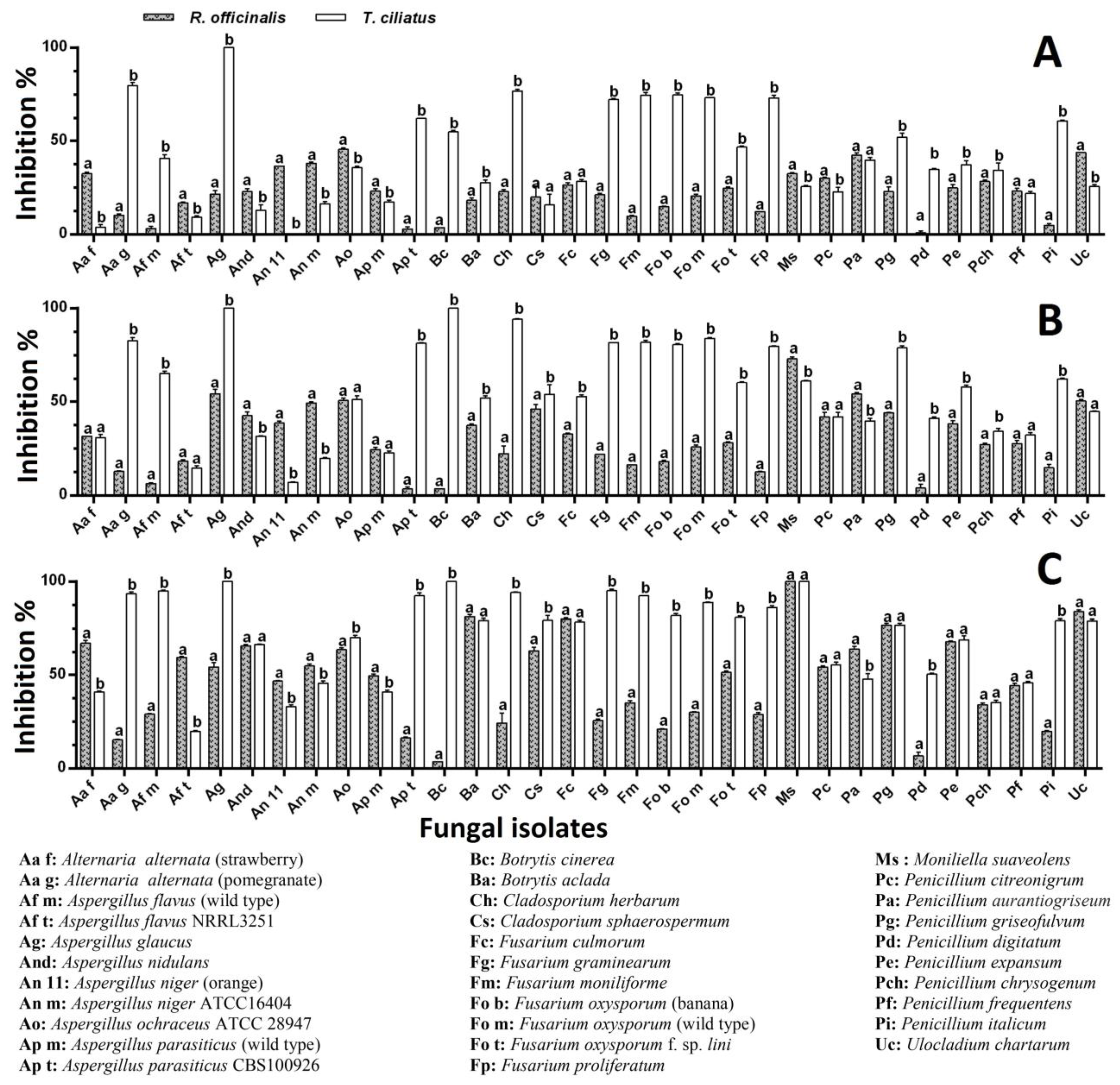Ijms 25 07989 g004 Ijms 25 07989 g004