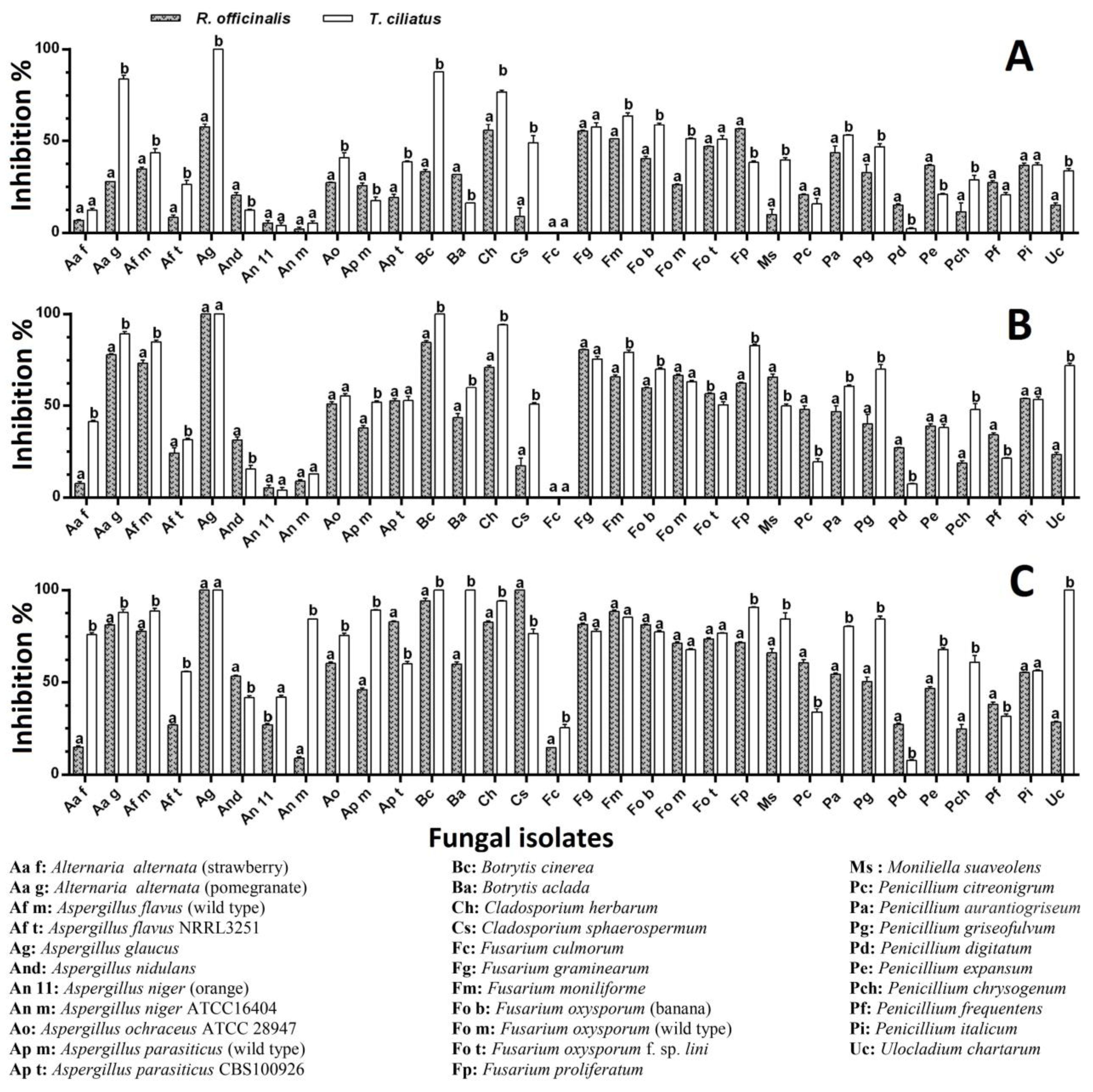 Ijms 25 07989 g005 Ijms 25 07989 g005