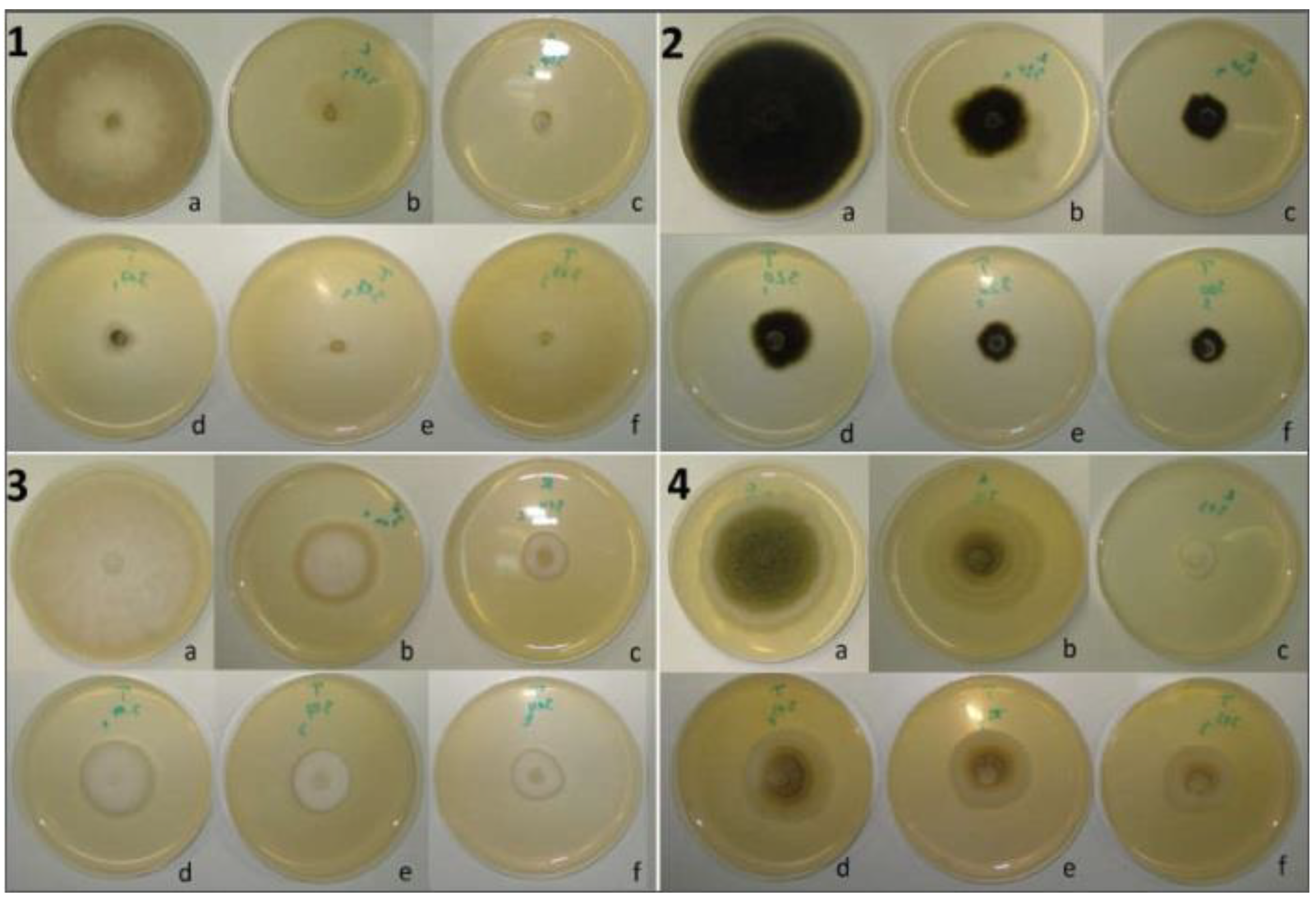 Ijms 25 07989 g007 Ijms 25 07989 g007