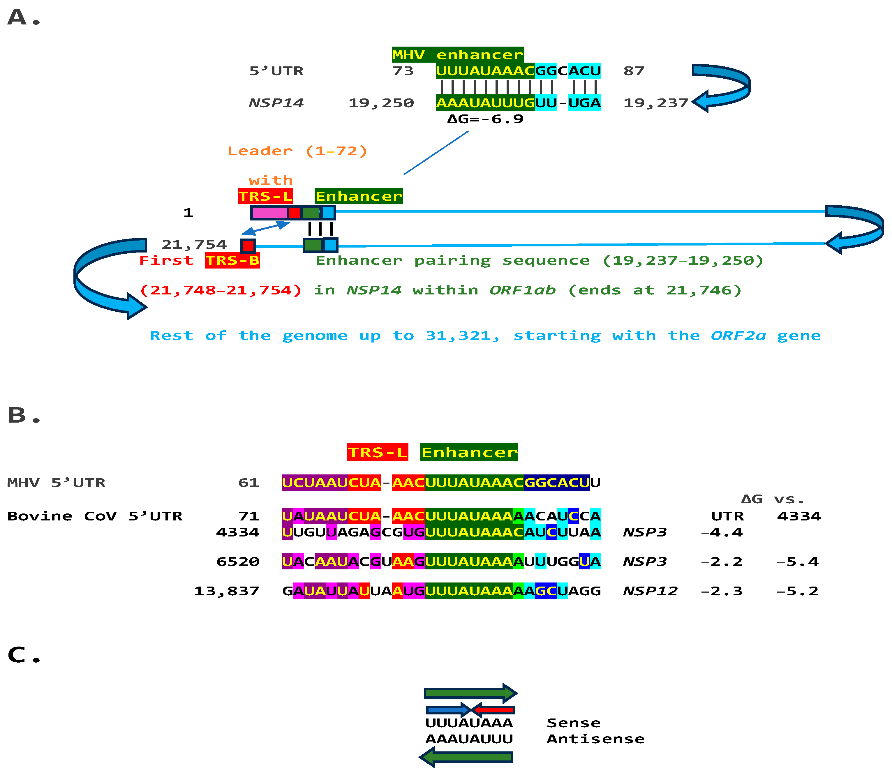 Ijms 25 08012 g002 Ijms 25 08012 g002