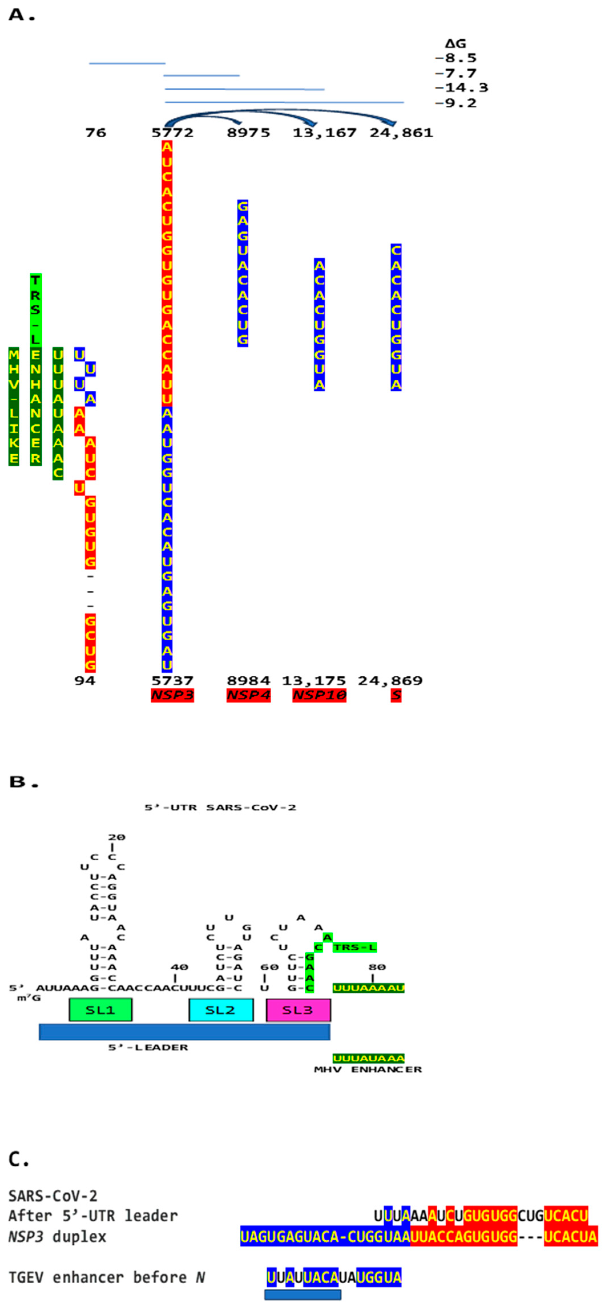 Ijms 25 08012 g010 Ijms 25 08012 g010
