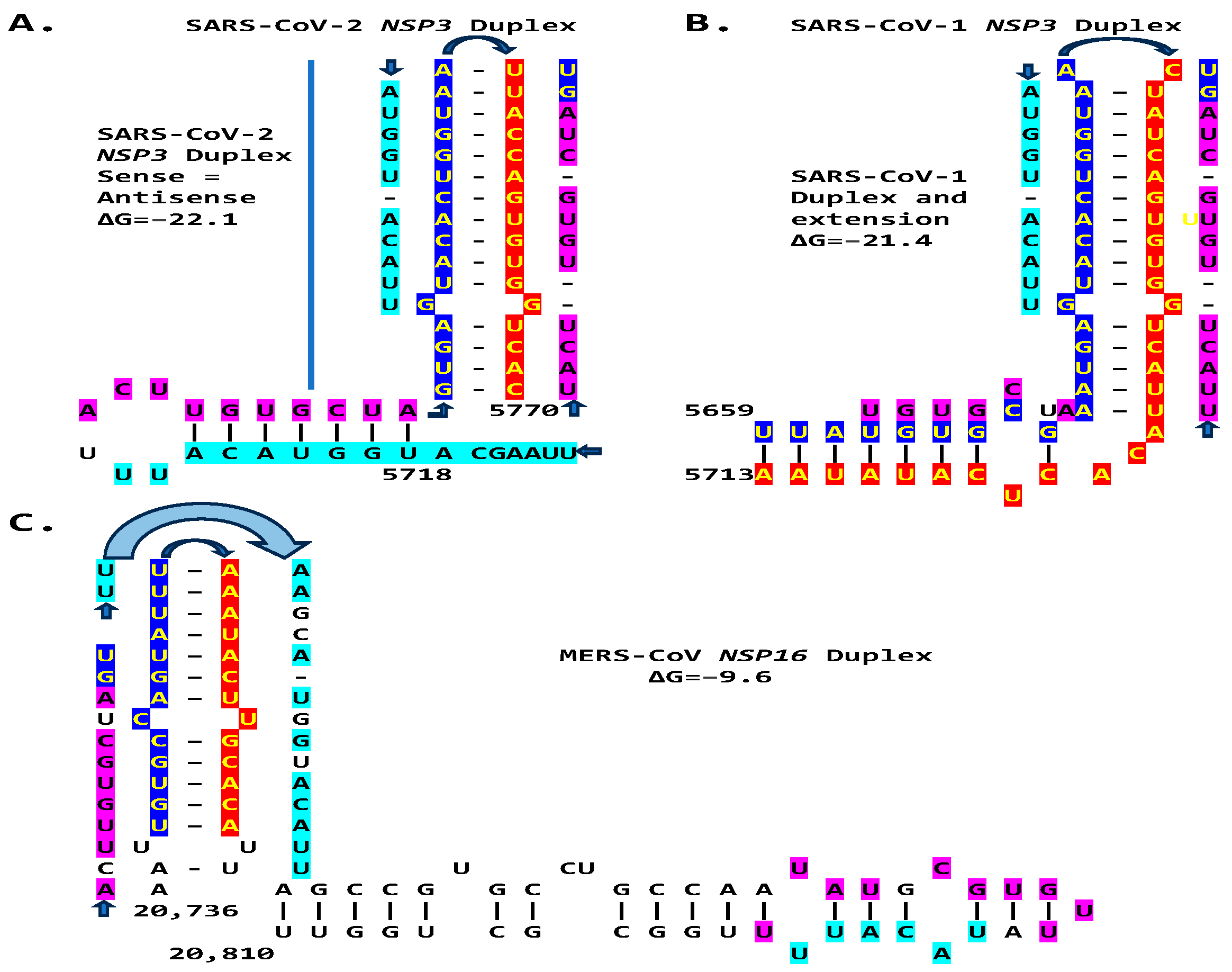 Ijms 25 08012 g014 Ijms 25 08012 g014