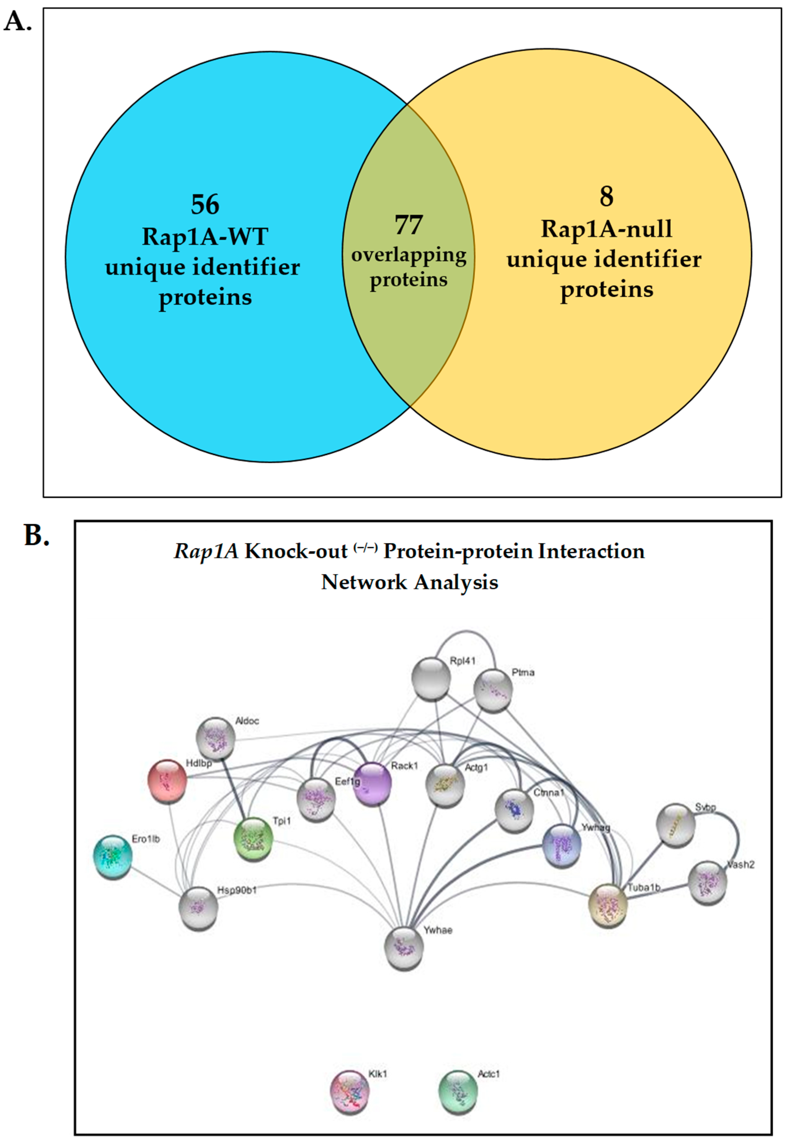 Ijms 25 08013 g004 Ijms 25 08013 g004