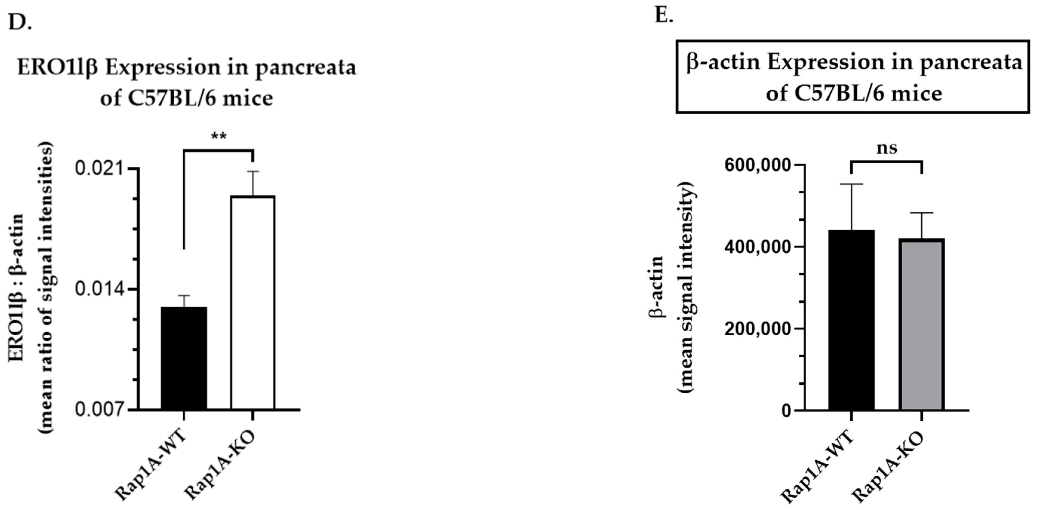 Ijms 25 08013 g007b Ijms 25 08013 g007b
