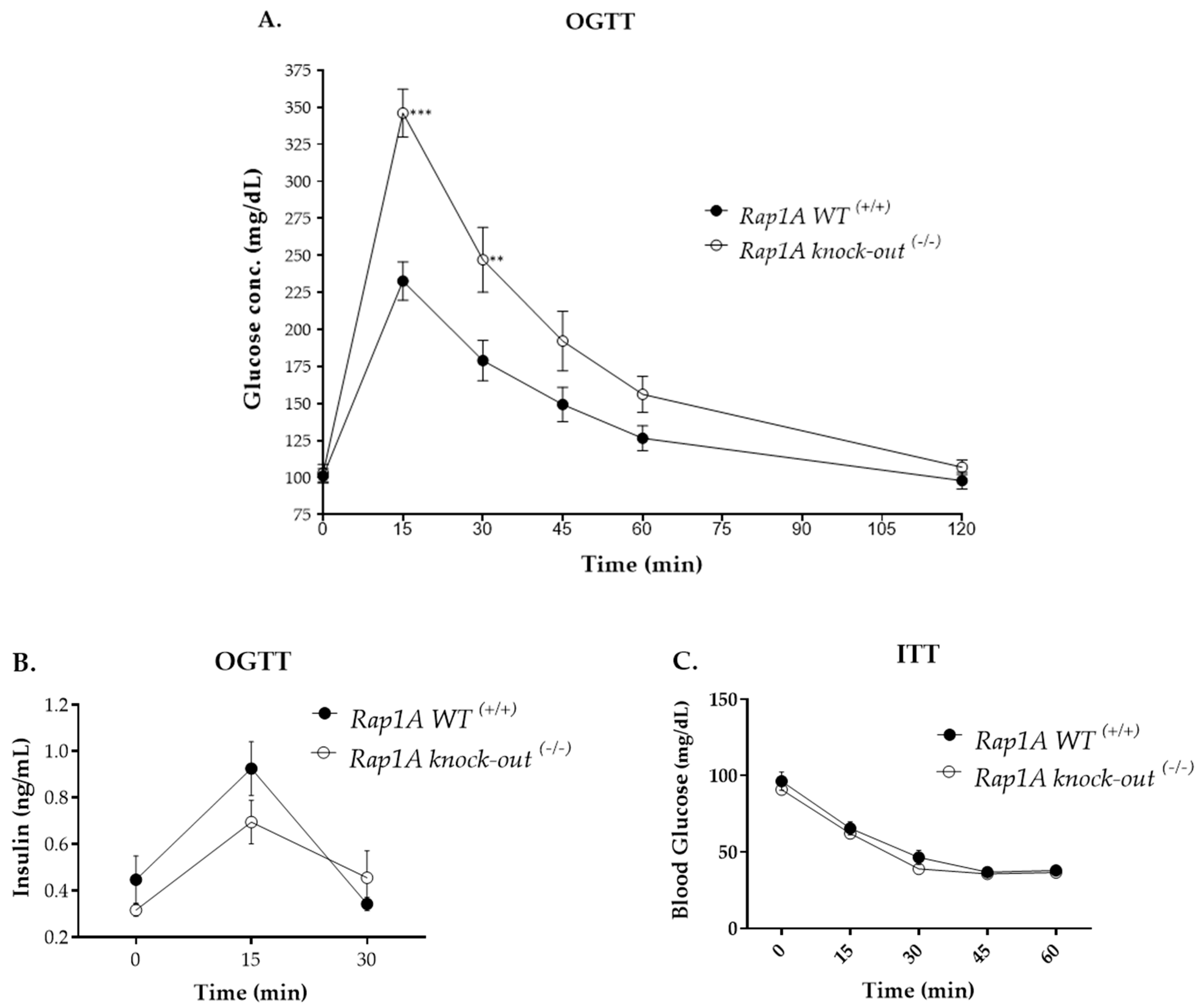 Ijms 25 08013 g009 Ijms 25 08013 g009