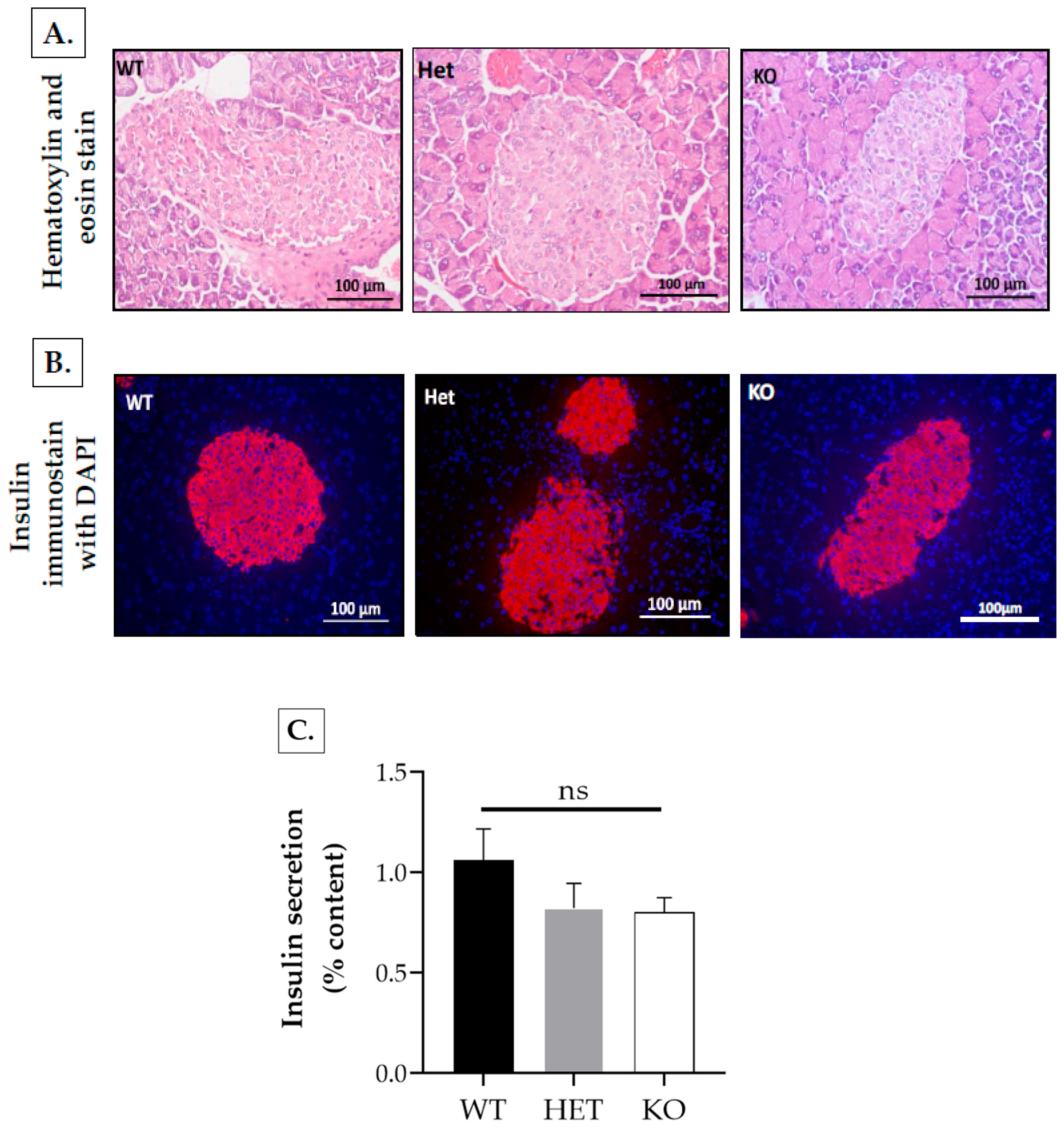 Ijms 25 08013 g010a Ijms 25 08013 g010a